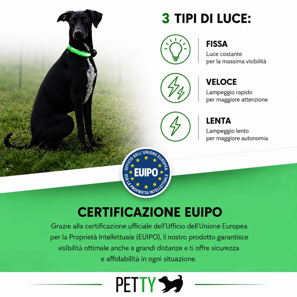 PETTY Collare Luminoso per Cani REGOLABILE LED - Collarino TRASPIRANTE RICARICABILE Usb, Chiusura Regolabile e Bottone di Sicurezza Antistrozzo - Cani Taglia Piccola Media e Grande XXS Blu - immagine 6