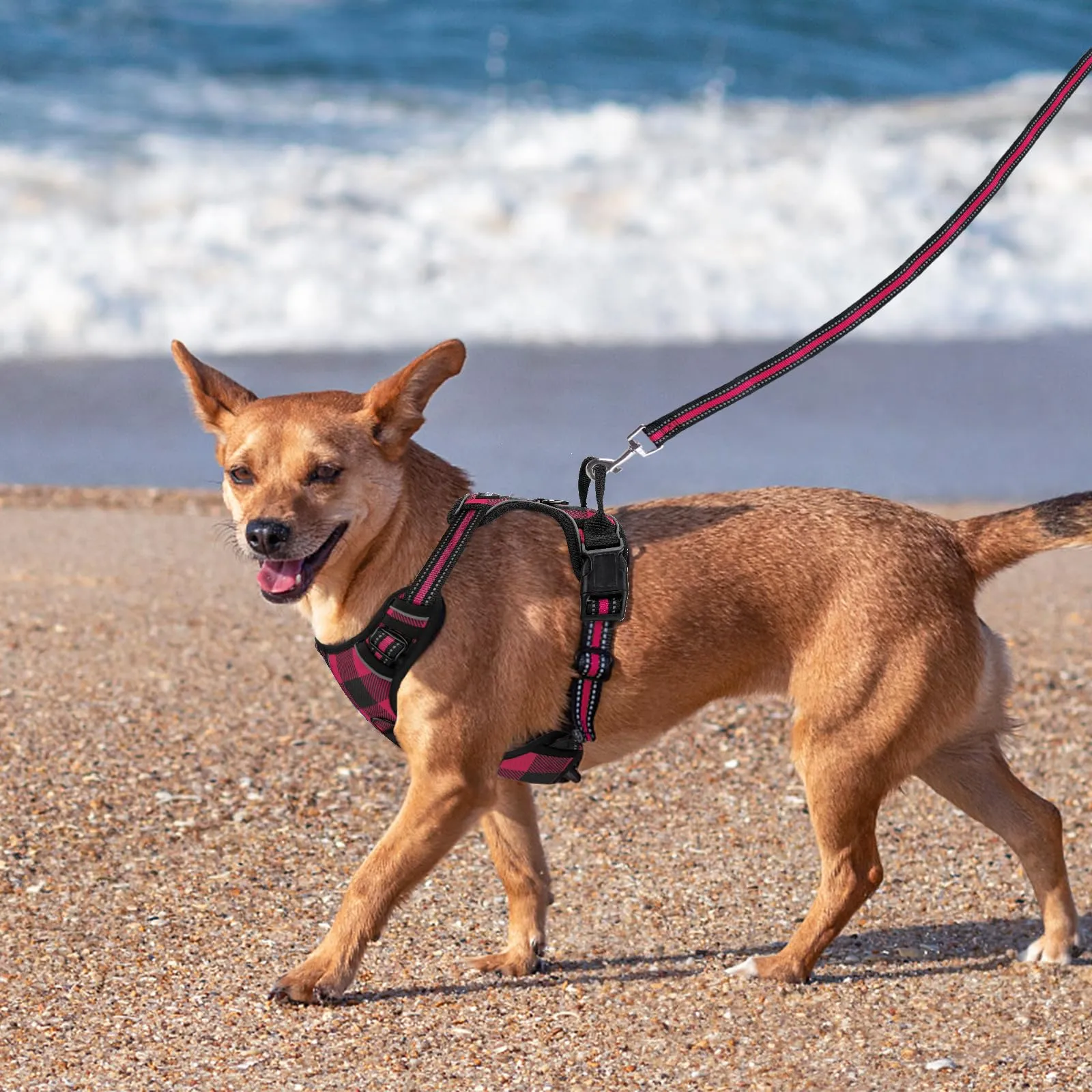 SIBOTER Imbracatura per Cani, Pettorina Anti Trazione, Riflettente, con Guinzaglio, per Allenamento all'aperto (Plaid Rosso, S) - immagine 7