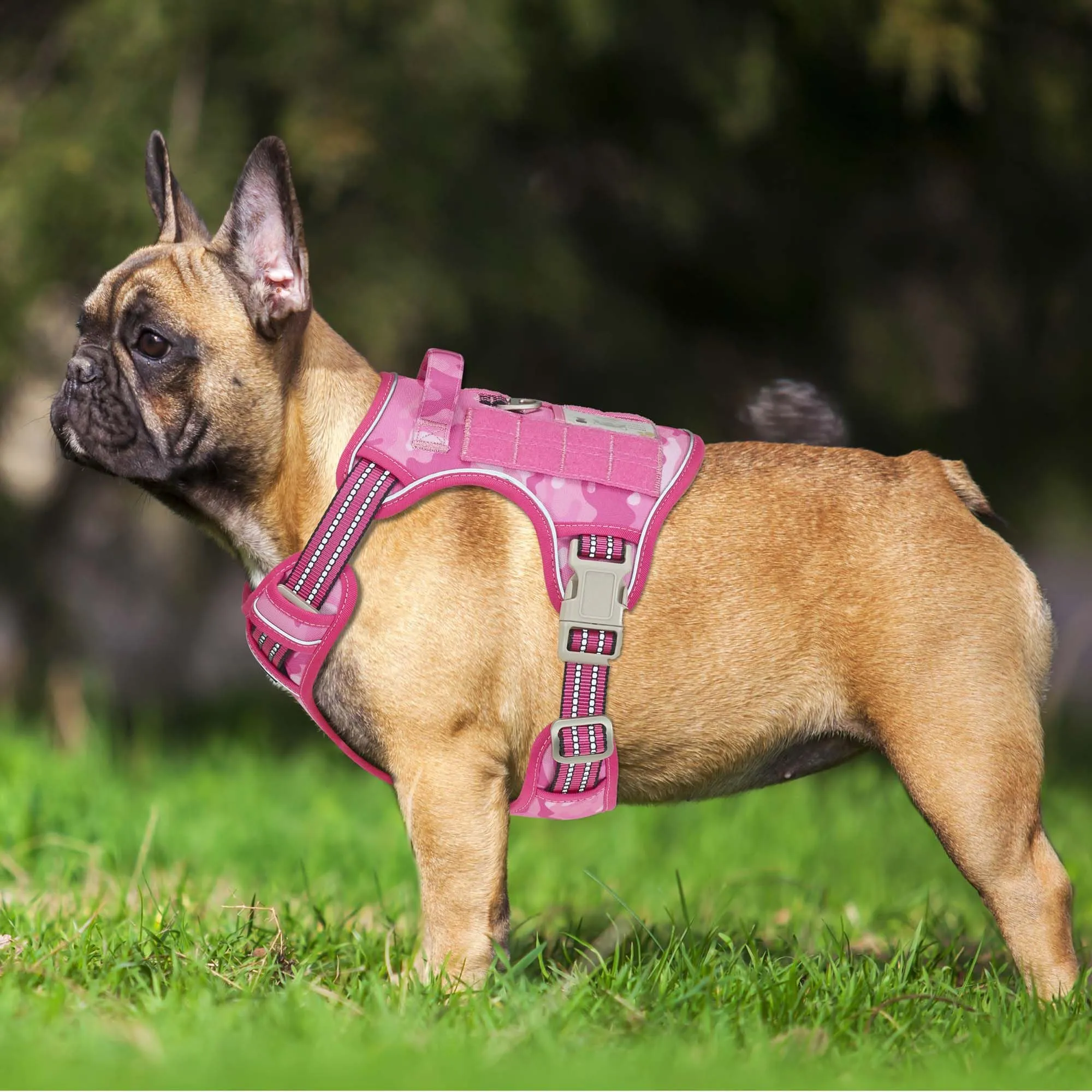Haapaw Imbracatura tattica per cani medi senza tirare Imbracatura da addestramento riflettente Easy Control Militare Medio Rosa Camouflage - immagine 2