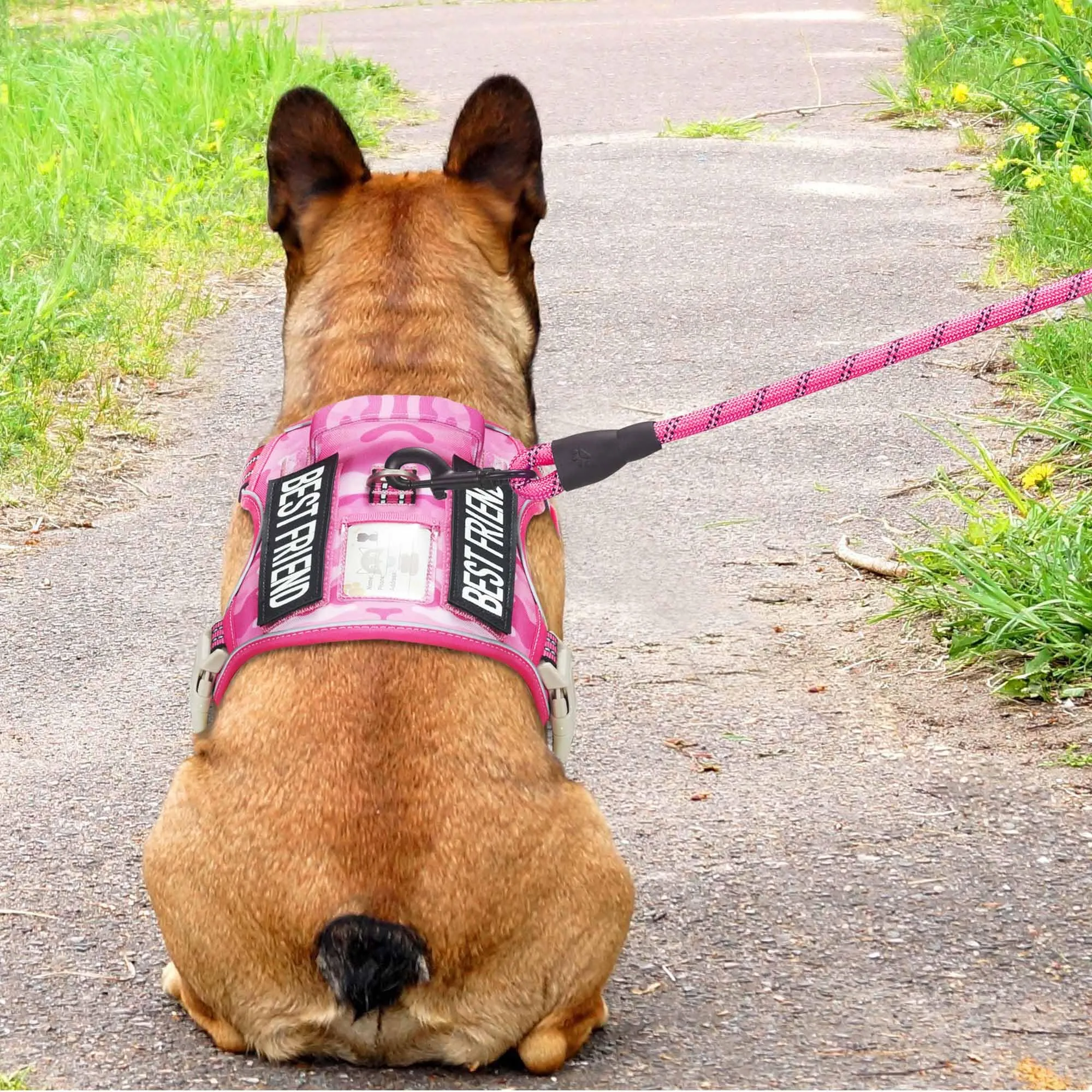 Haapaw Imbracatura tattica per cani medi senza tirare Imbracatura da addestramento riflettente Easy Control Militare Medio Rosa Camouflage - immagine 3