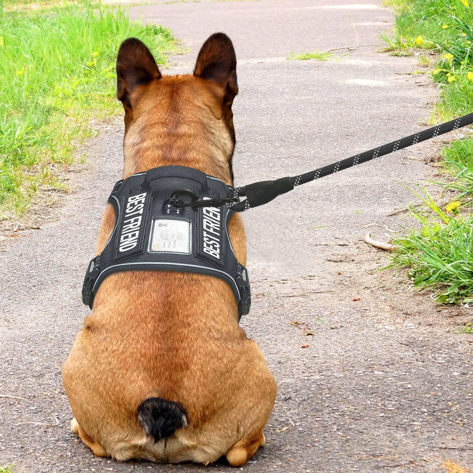 Haapaw Imbracatura per cani tattici pesanti per cani medi senza tirare Imbracatura da addestramento riflettente facile controllo militare nero medio - immagine 3