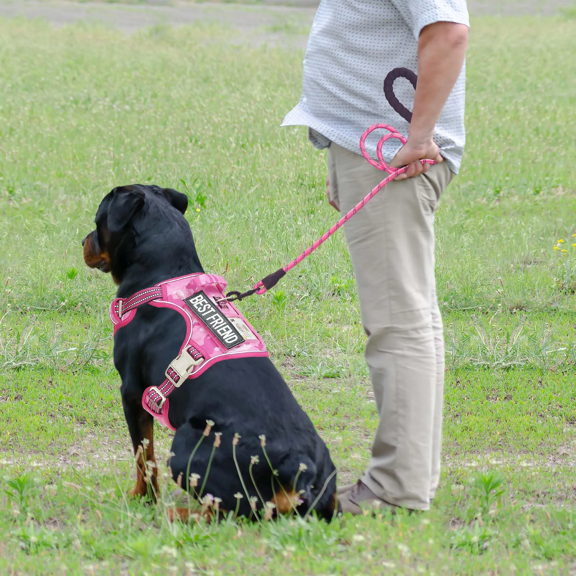 Haapaw - Gilet tattico pesante per cani di grandi dimensioni senza tirare, imbracatura da addestramento riflettente facile controllo militare grande - immagine 3