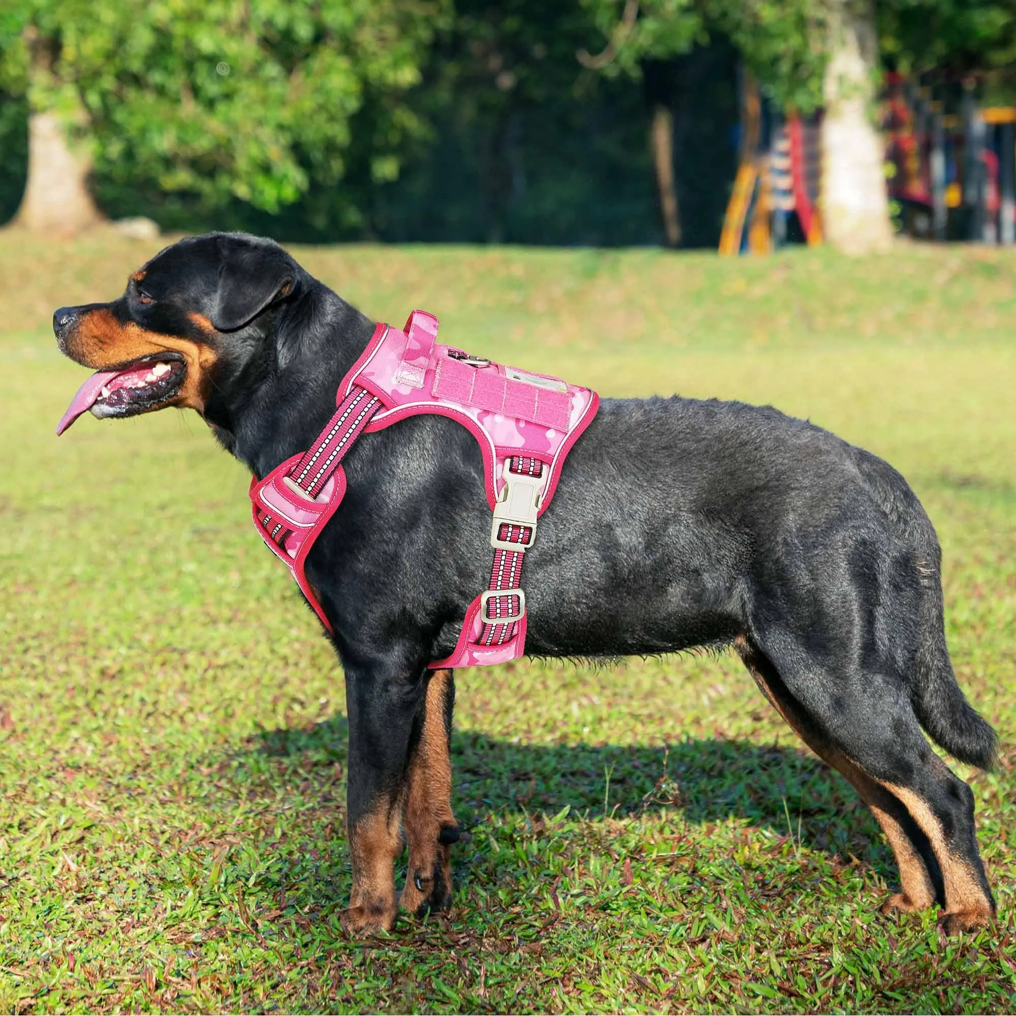 Haapaw Imbracatura tattica Heavy Duty per cani di grandi dimensioni senza tirare Imbracatura da addestramento riflettente facile controllo Militare Imbracatura per cani XL Camouflage Rosa - immagine 2