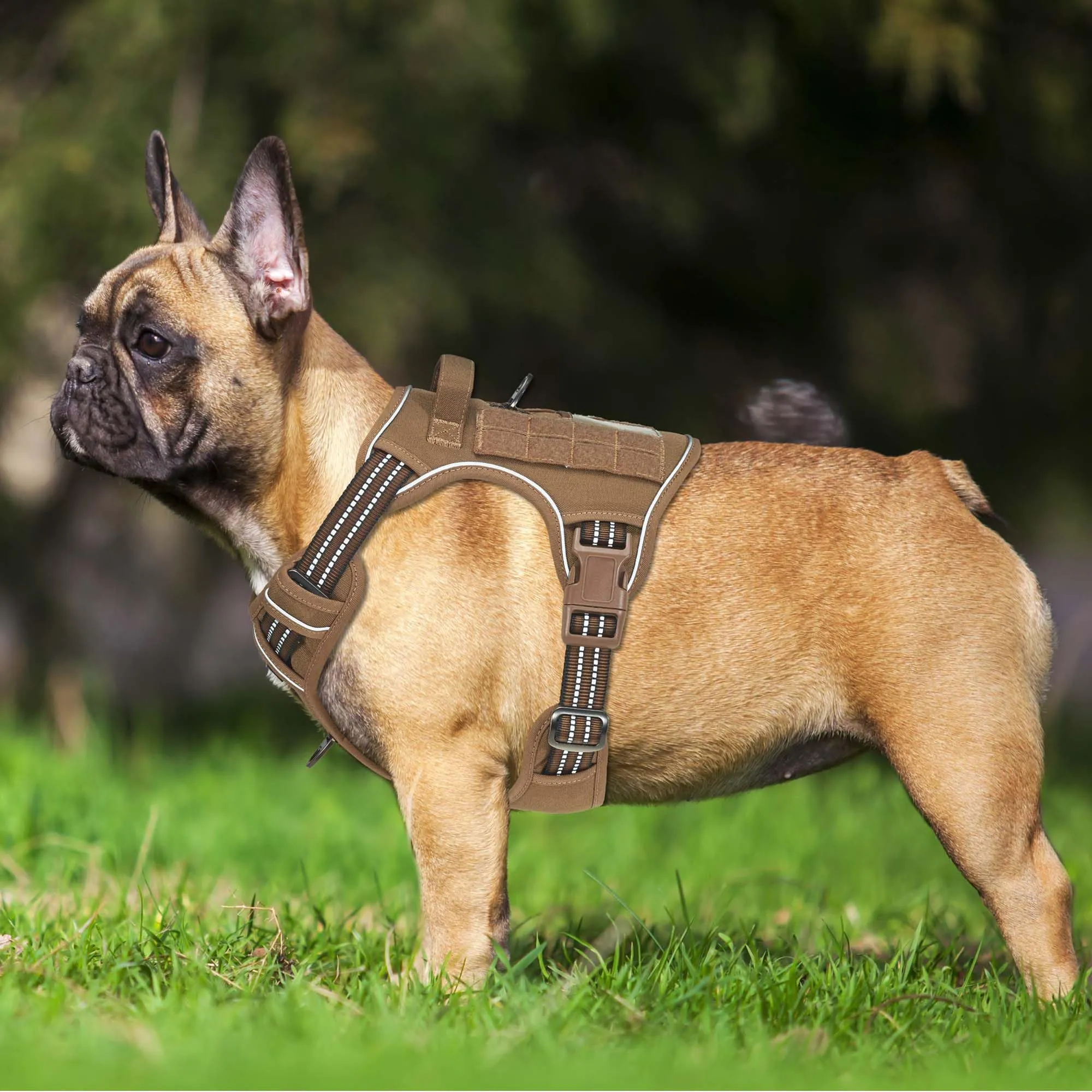 Haapaw Imbracatura tattica resistente per cani di piccola taglia - Imbracatura da addestramento riflettente senza tirare Easy Control Militare Small Marrone - immagine 2