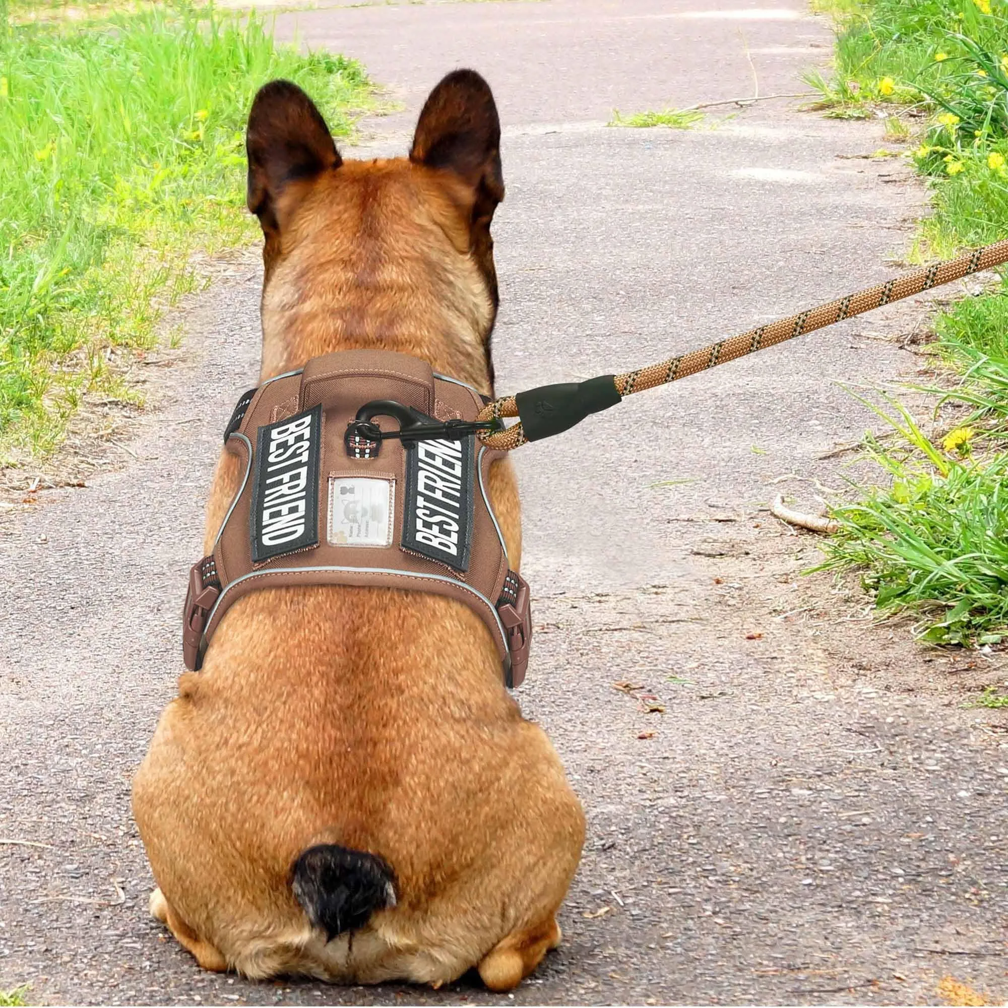 Haapaw Imbracatura tattica resistente per cani di piccola taglia - Imbracatura da addestramento riflettente senza tirare Easy Control Militare Small Marrone - immagine 3