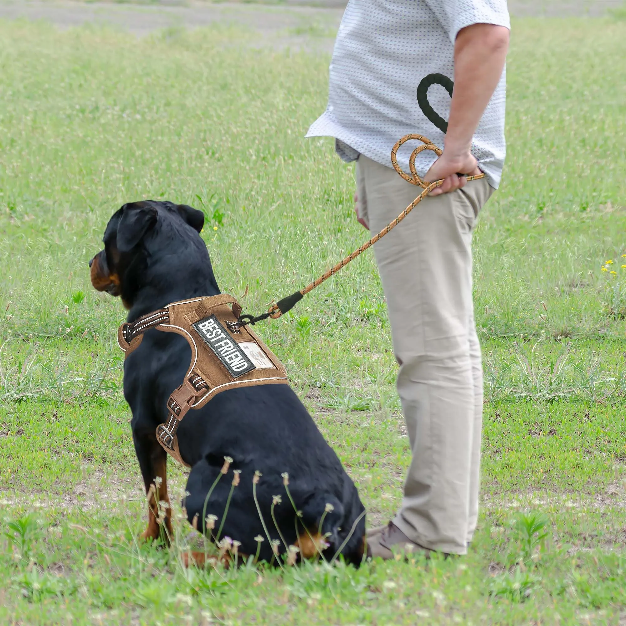 Haapaw Pettorina tattica resistente per cani di taglia grande, senza tiro, regolabile, riflettente, per addestramento, facile controllo, militare, imbracatura per cani da lavoro, XL, marrone - immagine 3