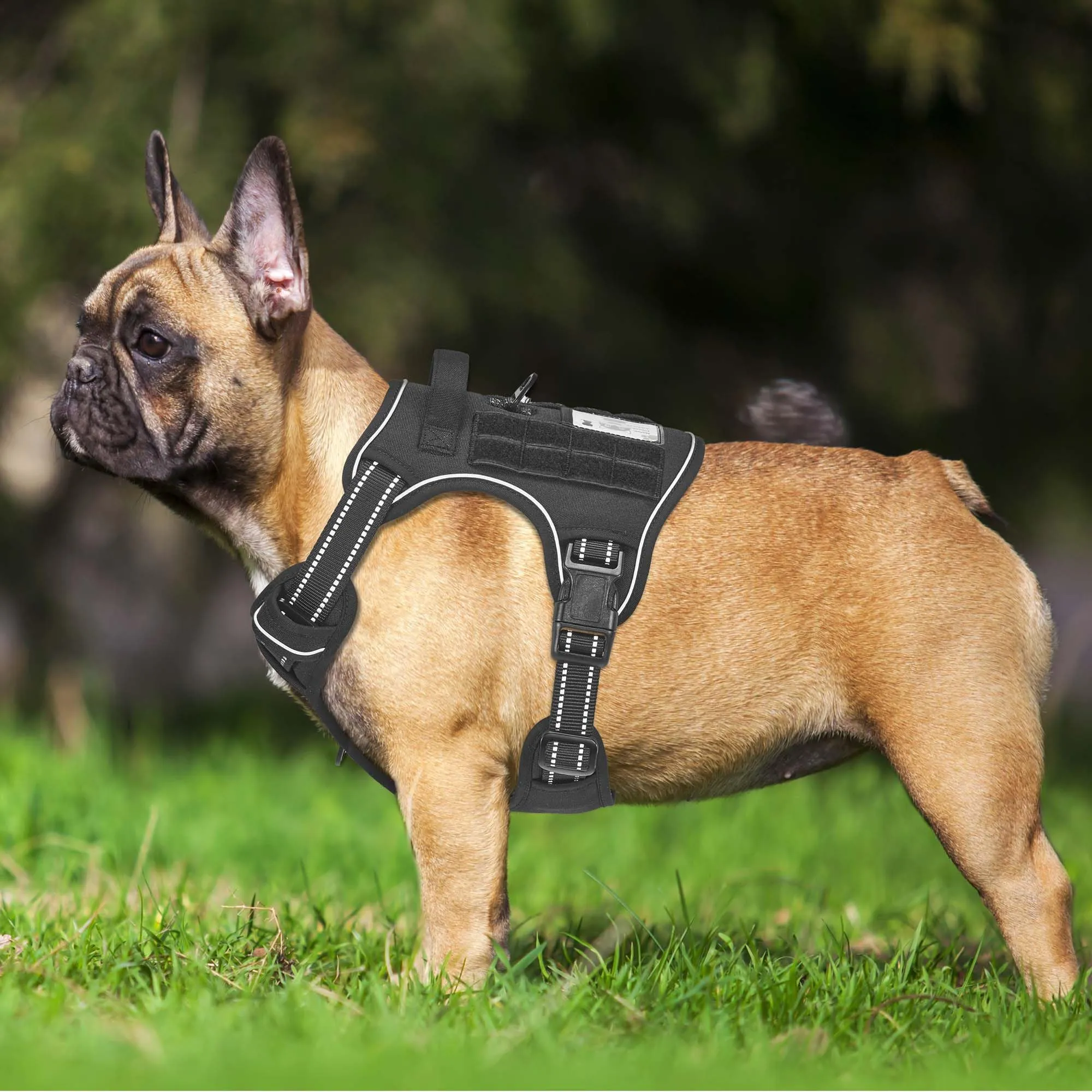 Haapaw - Imbracatura tattica resistente per cani di piccola taglia - Imbracatura da addestramento riflettente, senza tirare, facile controllo, militare, piccolo, nero - immagine 2
