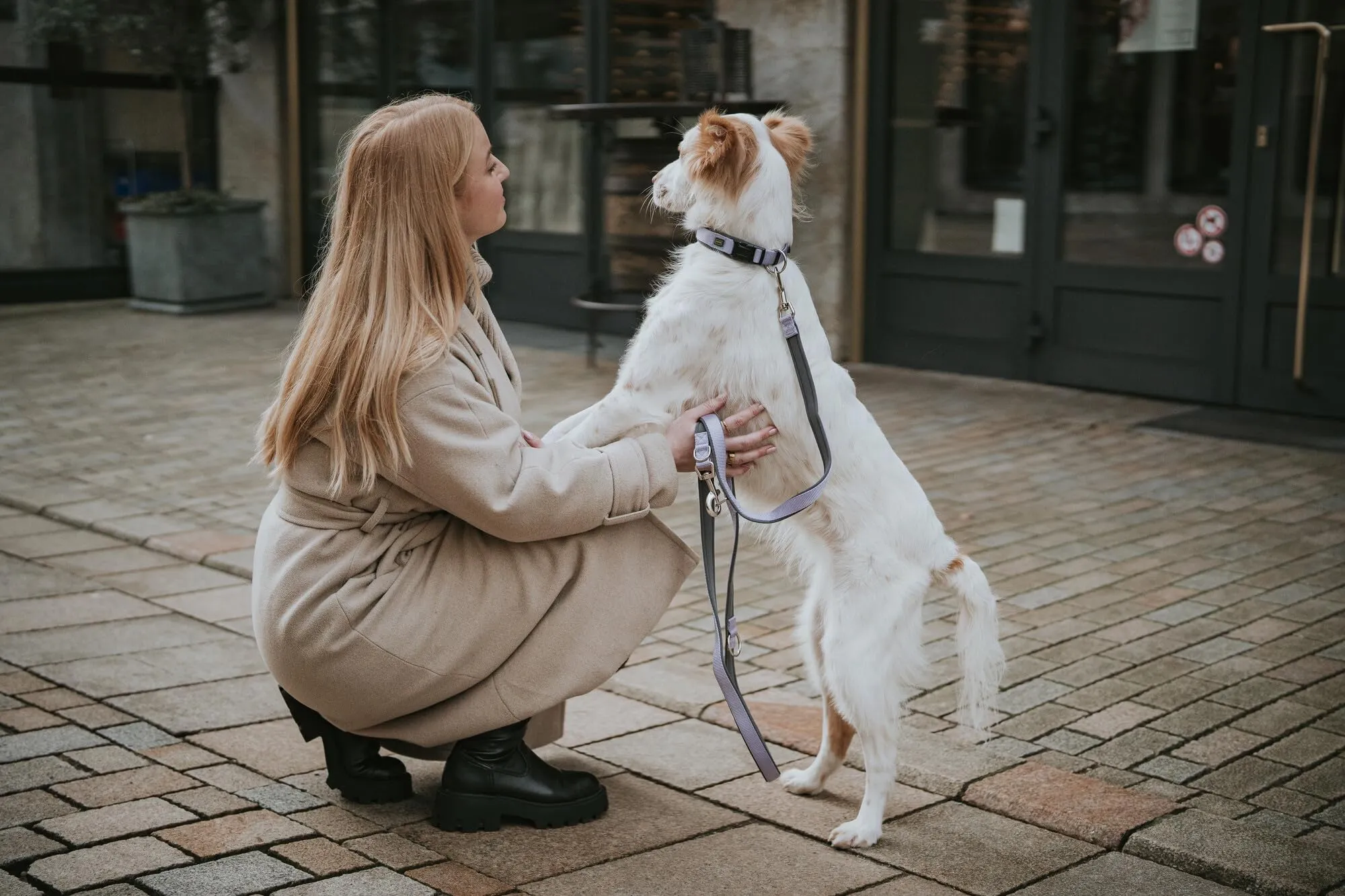 HUNTER Neopen Vario Plus, collare per cani, colore: lavanda/grigio, nylon resistente, morbida imbottitura in neoprene, regolabile in modo continuo, con scarico della trazione, facile da pulire, - immagine 5
