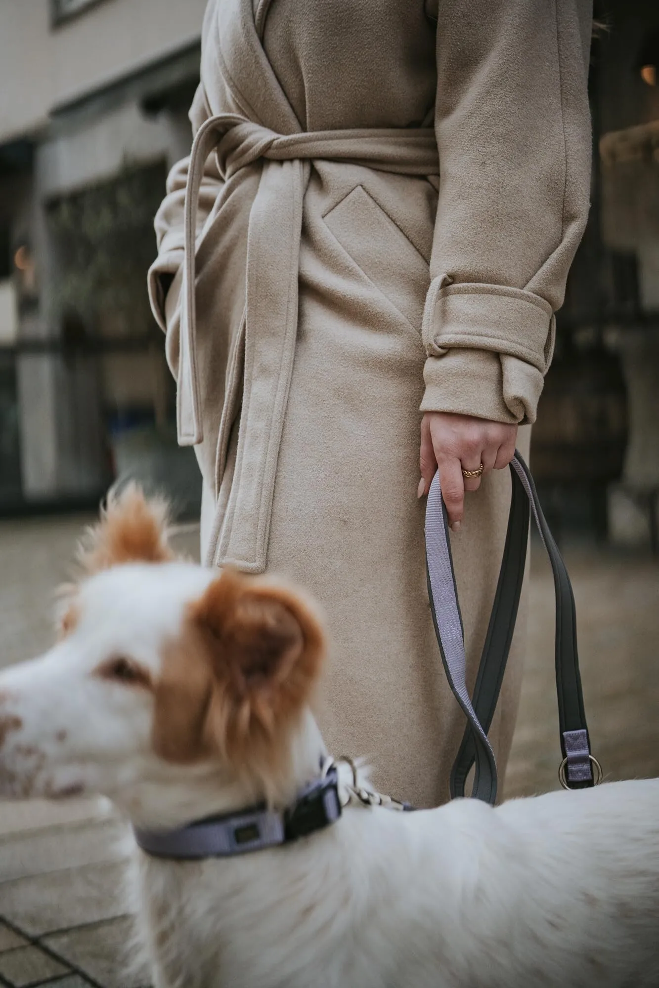 HUNTER Neopen Vario Plus, collare per cani, colore: lavanda/grigio, nylon resistente, morbida imbottitura in neoprene, regolabile in modo continuo, con scarico della trazione, facile da pulire - immagine 6