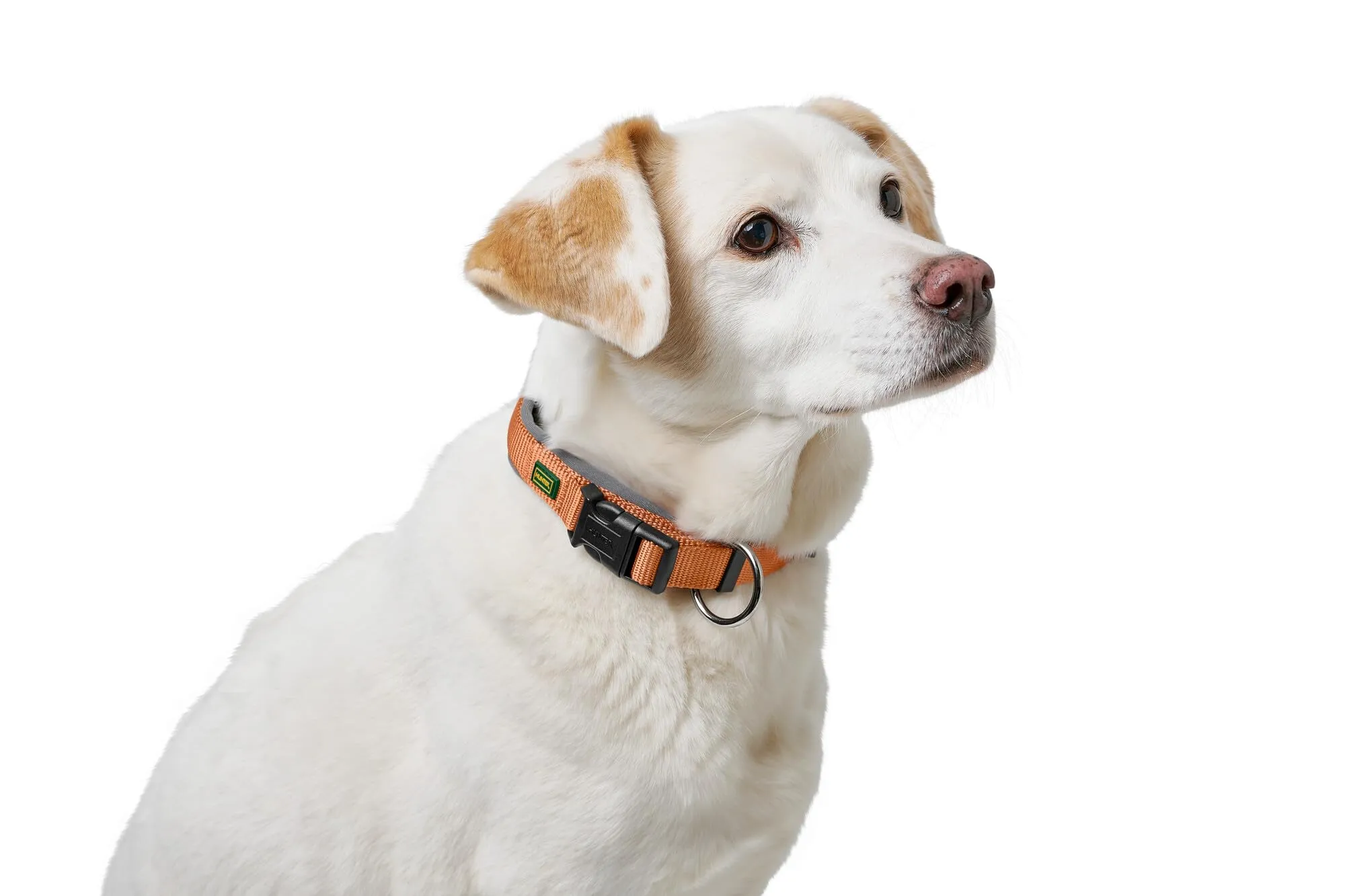 HUNTER Neopen Vario Plus, collare per cani, colore: rame/grigio, nylon resistente, morbida imbottitura in neoprene, regolabile in modo continuo, con scarico della trazione, facile da pulire, - immagine 5
