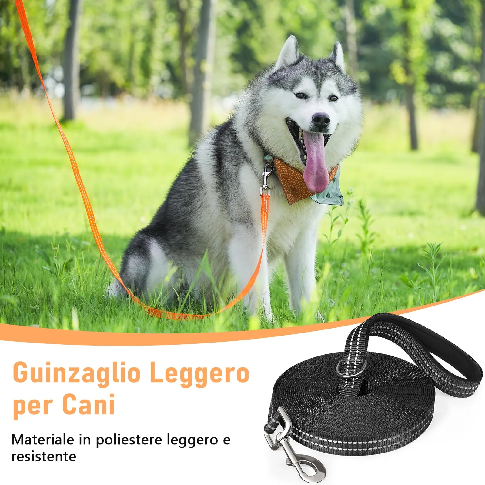 X XBEN Guinzaglio Addestramento per Cani, 30M Lunghina Leggera per Cane, Con Impugnatura Comfort e Fibbia a D, per Tutti i Cani, ideale per Addestramento di Rchiamo, Parchi, Escursioni e Campeggio - immagine 2