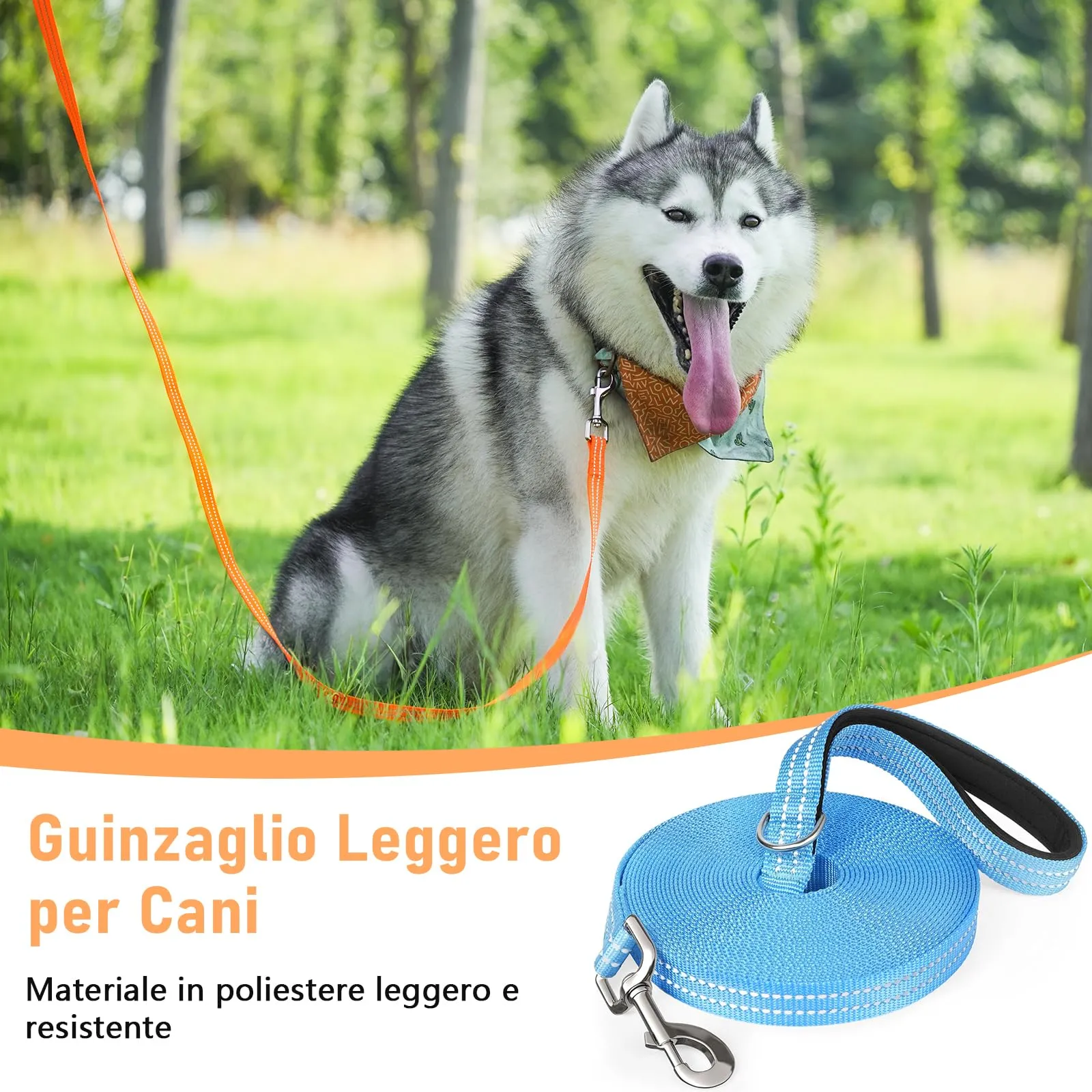 X XBEN Guinzaglio Addestramento per Cani, 10M Lunghina Leggera per Cane, Con Impugnatura Comfort e Fibbia a D, per Tutti i Cani, ideale per Addestramento di Rchiamo, Parchi, Escursioni e Campeggio - immagine 2