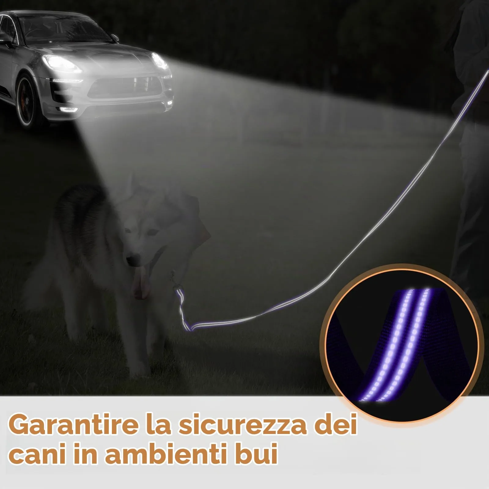 X XBEN Guinzaglio Addestramento per Cani Resistente e Leggero, Lunghina per Cane 5 Metri, Guinzaglio Con Impugnatura Comfort e fibbia a D, per Tutti i Cani per Allenamento - immagine 6