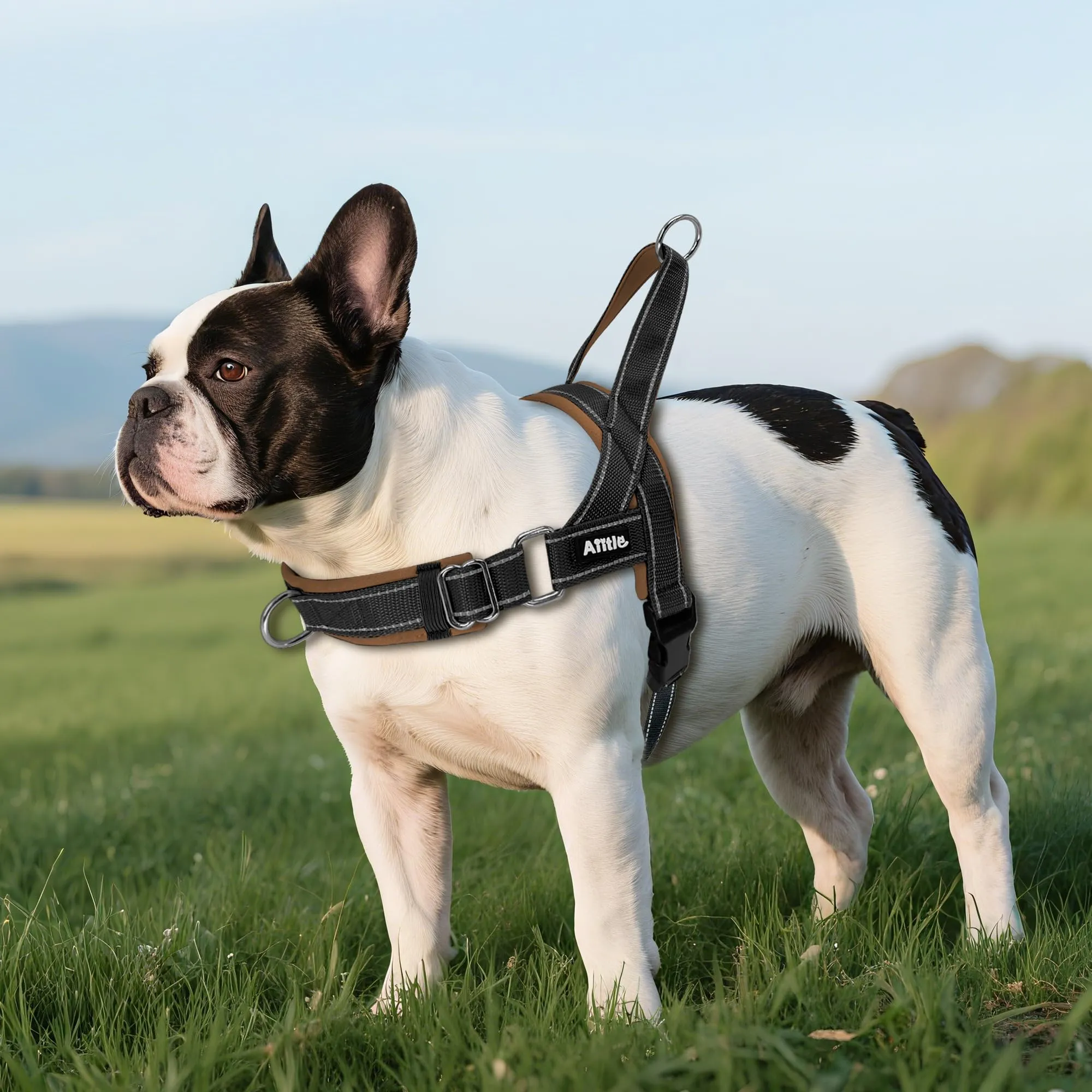 AIITLE Pettorina tattica anti-fuga migliorata per cani, regolabile su collo e petto, anti-tiro con impugnatura morbida imbottita, facile da addestrare per cani di taglia extra large Nero-Marrone XL - immagine 6