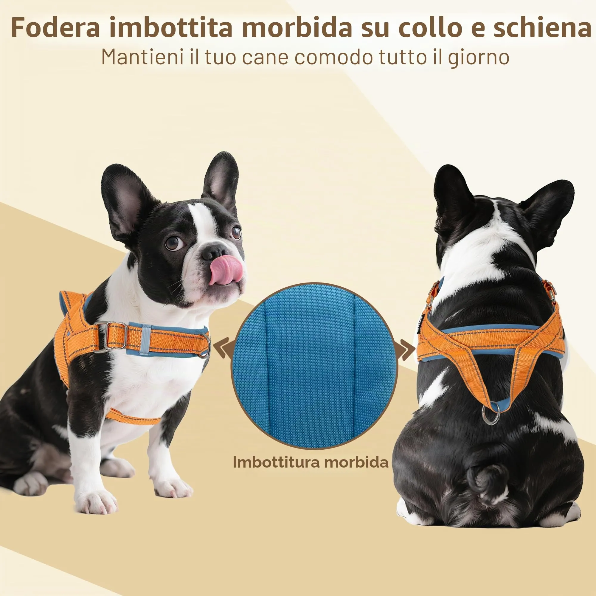 AIITLE Pettorina tattica anti-fuga migliorata per cani, regolabile su collo e petto, anti-tiro con impugnatura morbida imbottita, facile da usare per cani di grossa taglia Arancione-Blu L - immagine 6