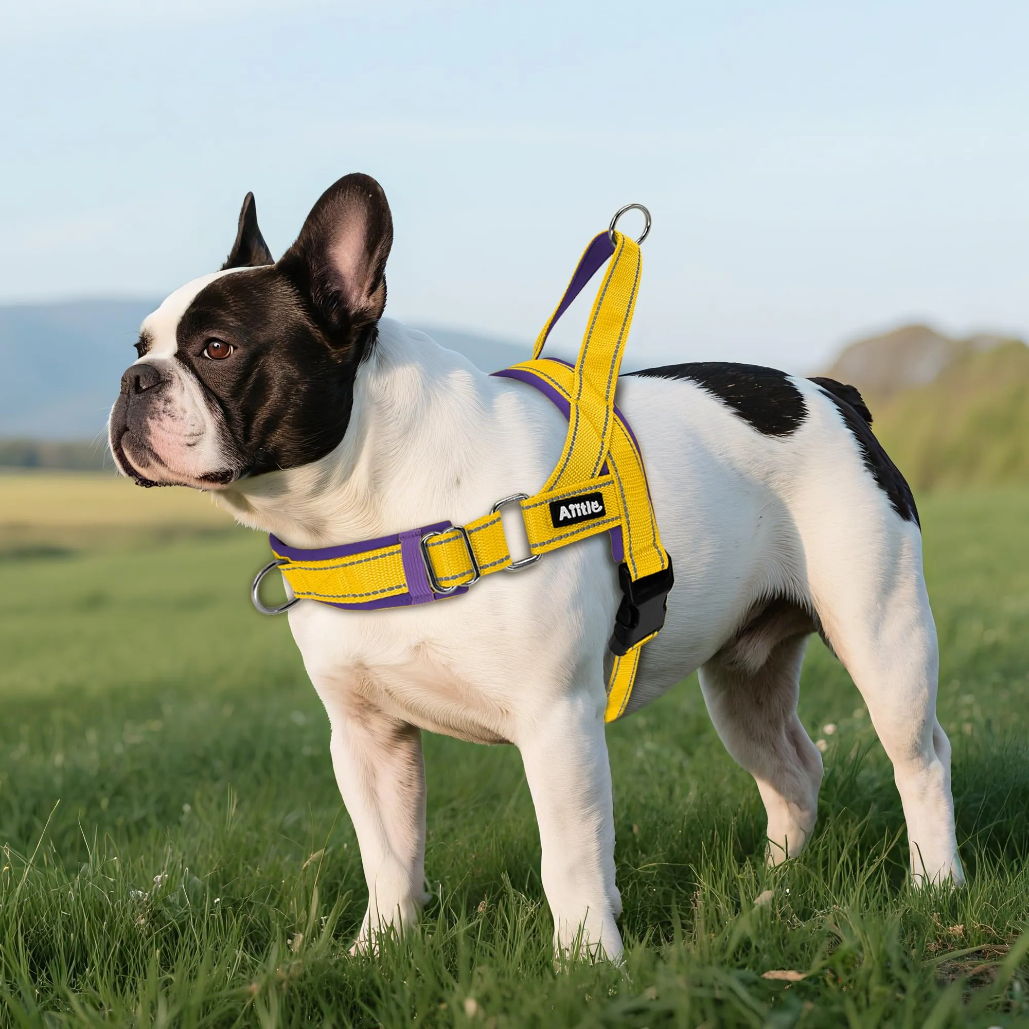 AIITLE Pettorina anti-tiro migliorata con impugnatura morbida imbottita, imbracatura per cuccioli con strisce riflettenti, per cani di piccola taglia Giallo-Viola XXS - immagine 6