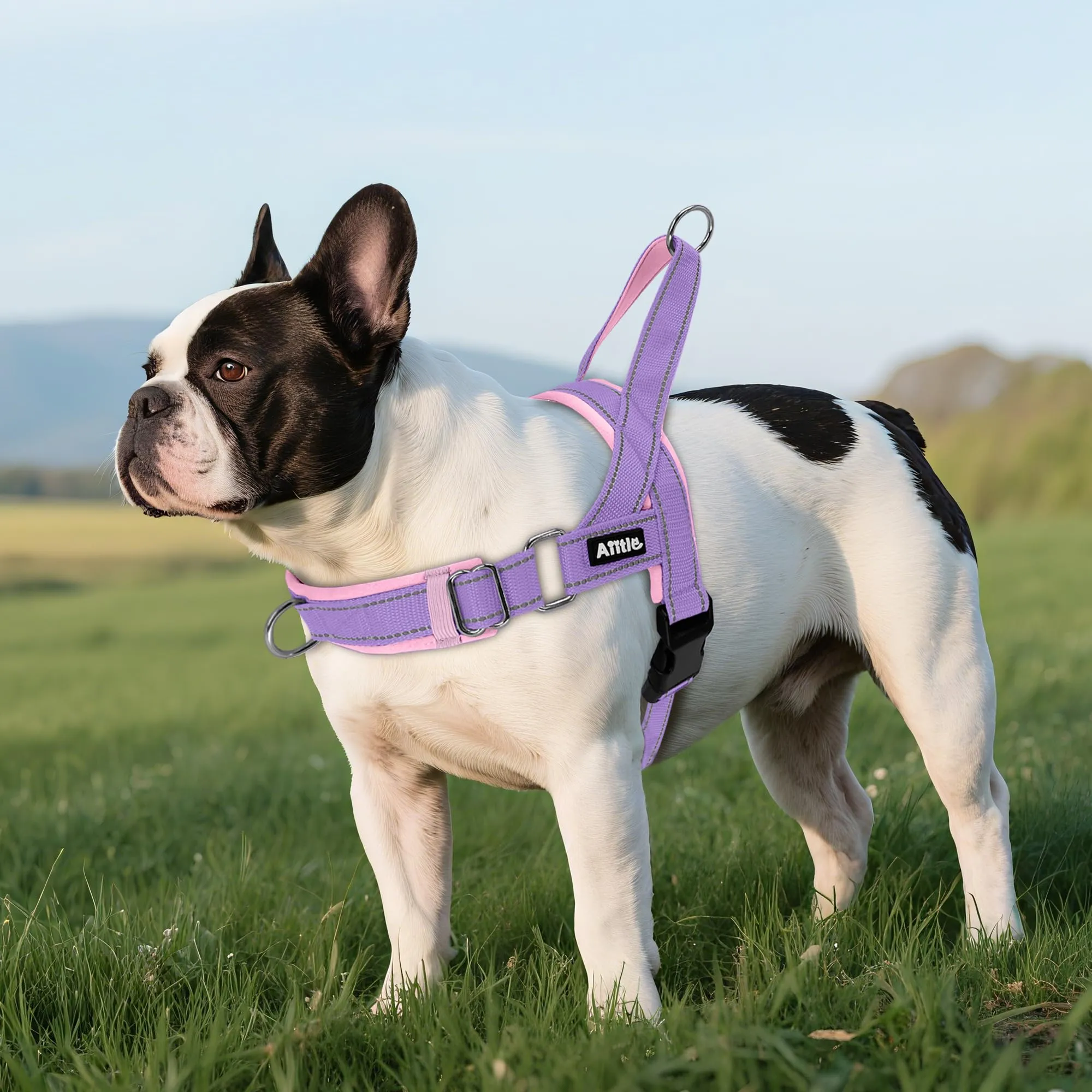 AIITLE Pettorina tattica anti-fuga migliorata per cani, regolabile su collo e petto, anti-tiro con impugnatura morbida imbottita, facile da addestrare per cani di taglia extra large Viola-Rosa XL - immagine 6