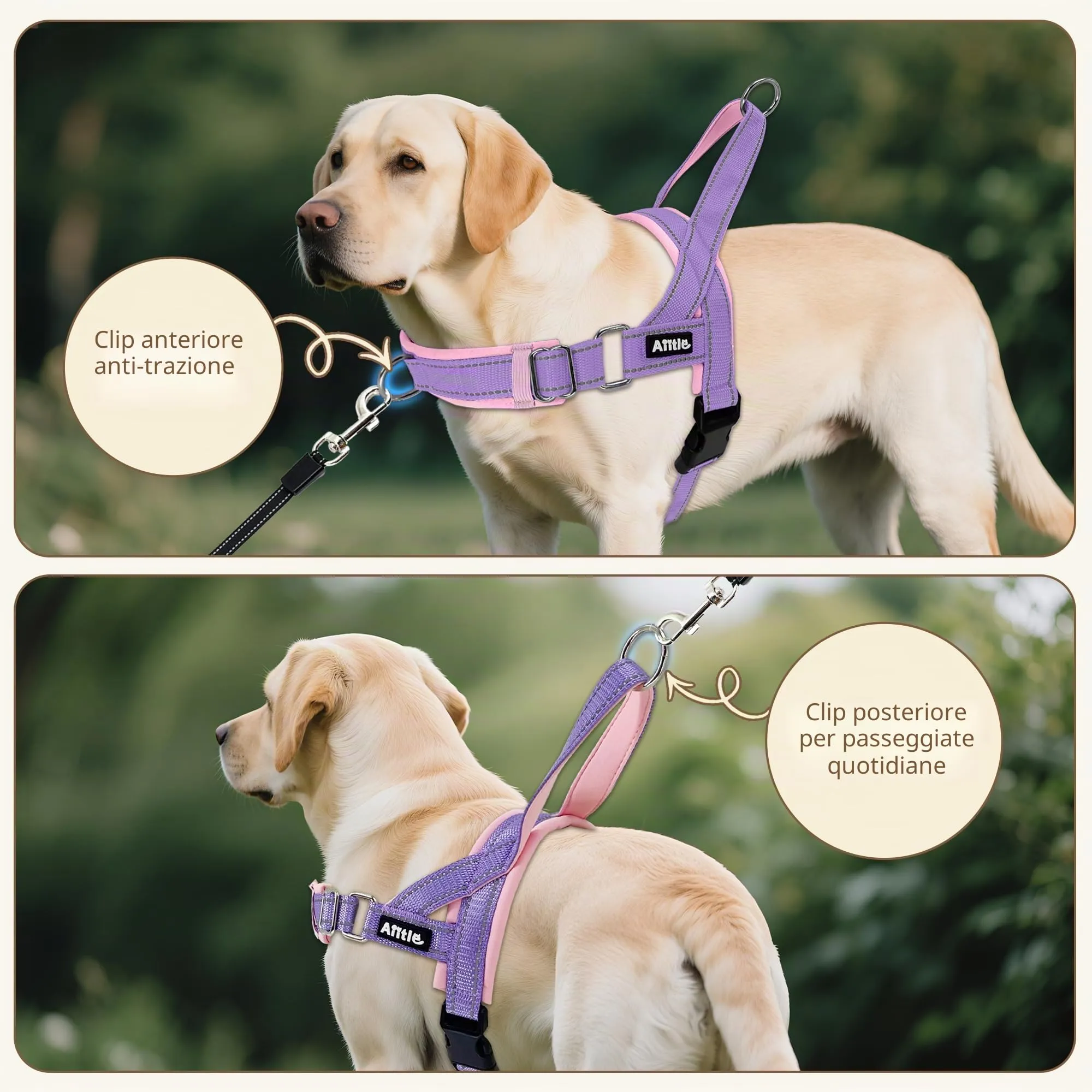 AIITLE Pettorina anti-tiro migliorata con impugnatura morbida imbottita, imbracatura per cuccioli con strisce riflettenti, per cani di piccola taglia Viola-Rosa XXS - immagine 2