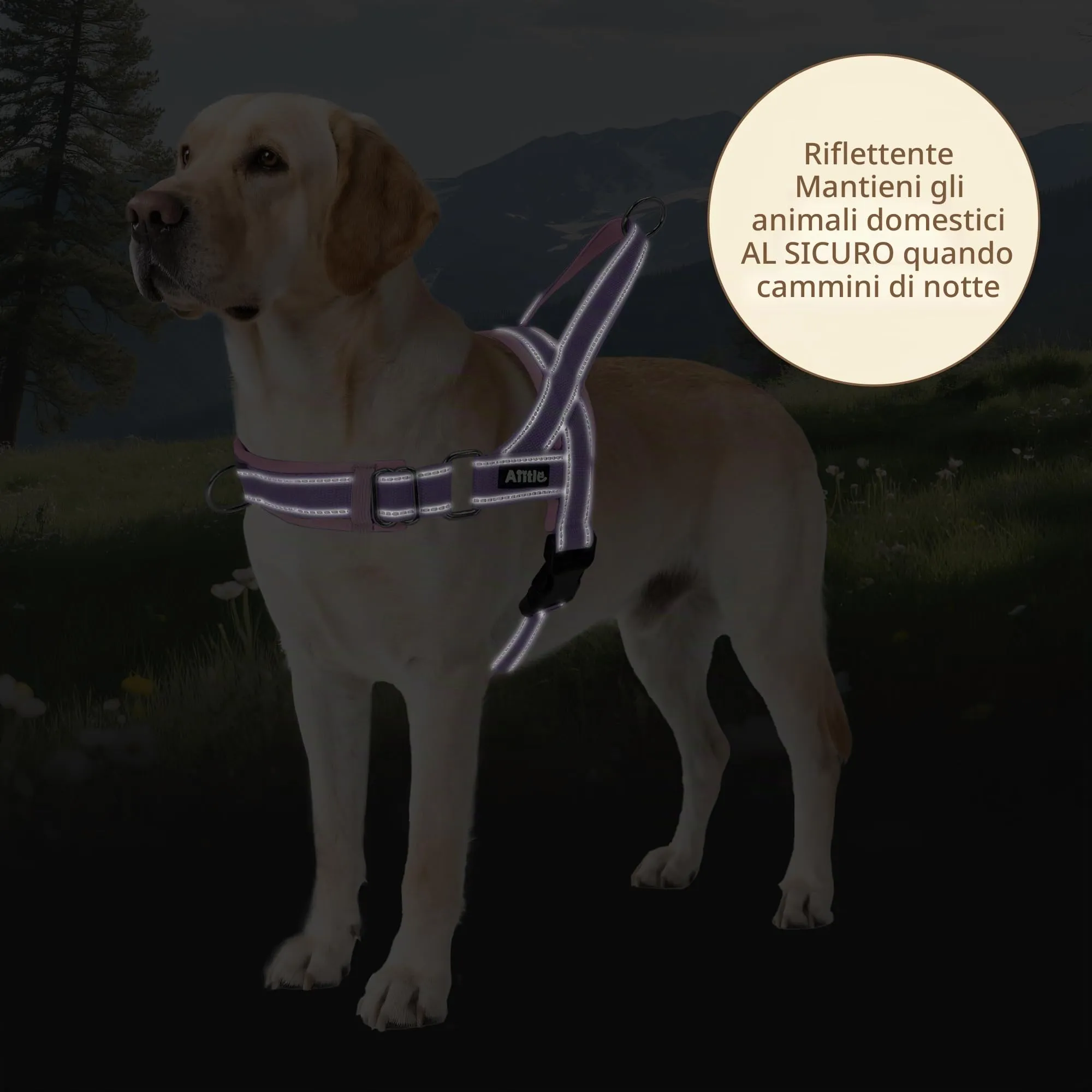 AIITLE Pettorina anti-tiro migliorata con impugnatura morbida imbottita, imbracatura per cuccioli con strisce riflettenti, per cani di piccola taglia Viola-Rosa XXS - immagine 6