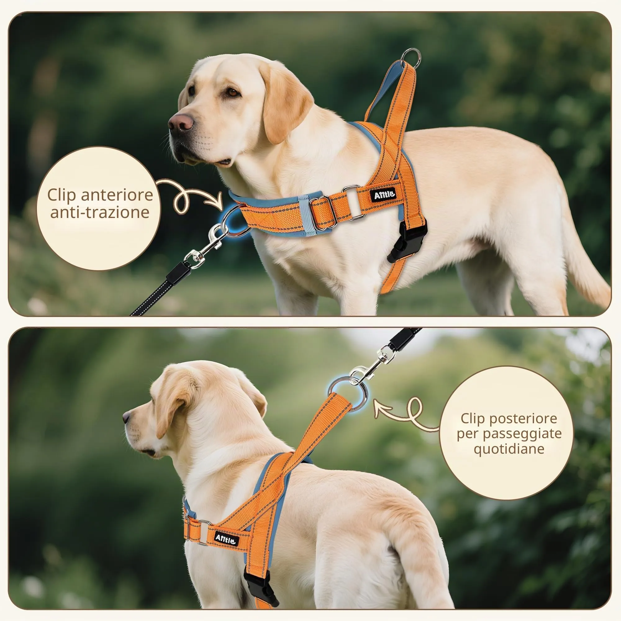 AIITLE Pettorina tattica anti-fuga migliorata per cani, regolabile su collo e petto, anti-tiro con impugnatura morbida imbottita, facile da addestrare per cani di taglia extra large Arancione-Blu XL - immagine 5