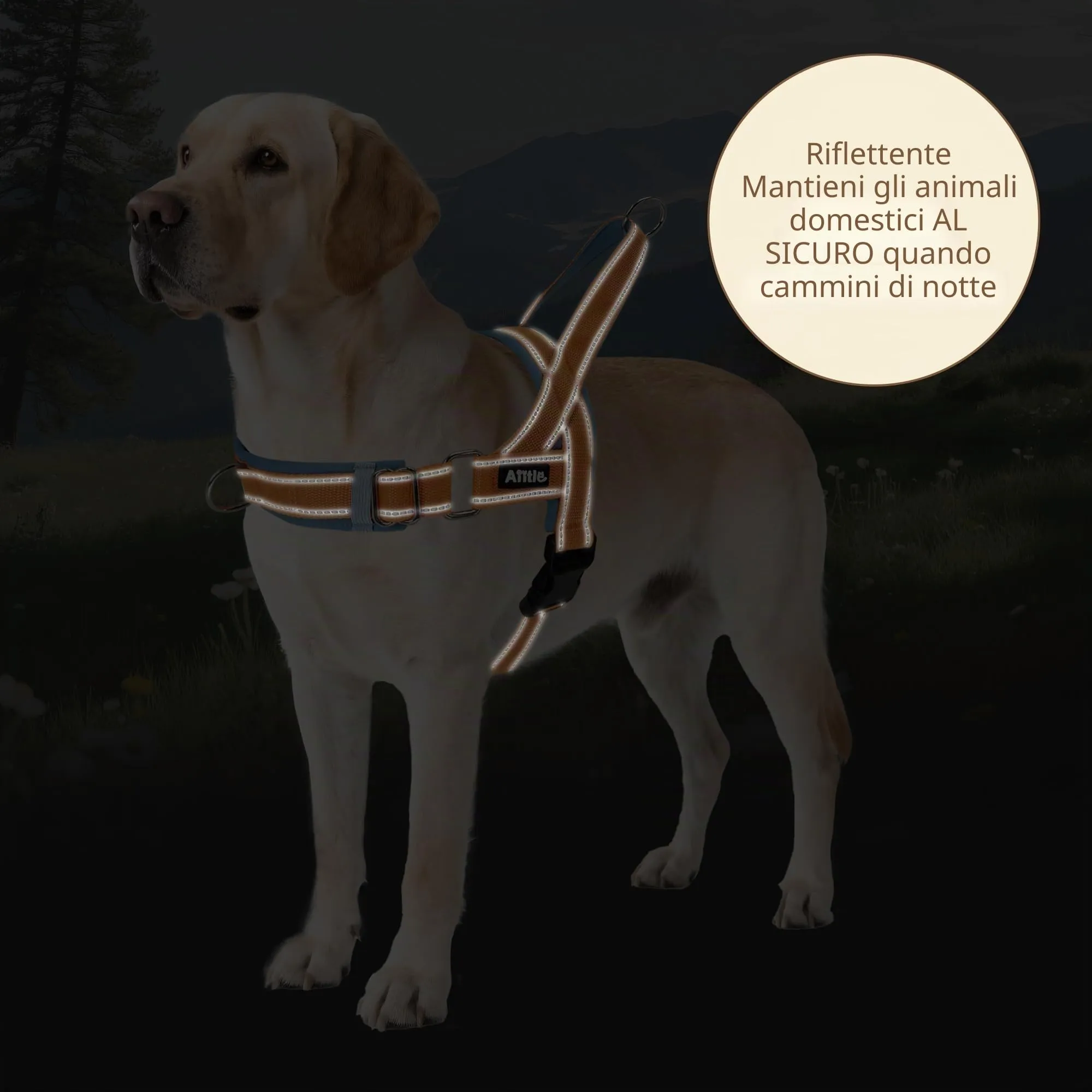 AIITLE Pettorina tattica anti-fuga migliorata per cani, regolabile su collo e petto, anti-tiro con impugnatura morbida imbottita, facile da addestrare per cani di taglia extra large Arancione-Blu XL - immagine 6