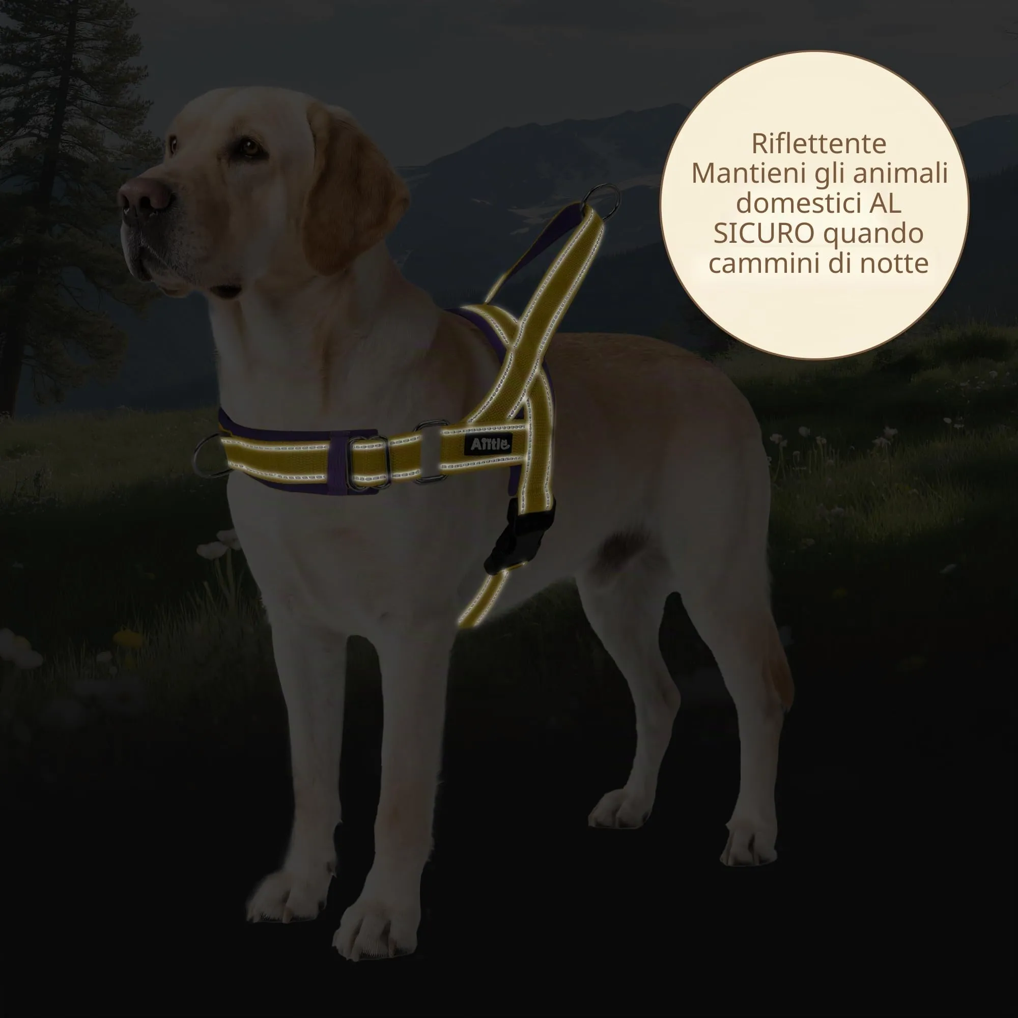 AIITLE Pettorina tattica anti-fuga migliorata per cani, regolabile su collo e petto, anti-tiro con impugnatura morbida imbottita, facile da usare per cani di grossa taglia Giallo-Viola L - immagine 2
