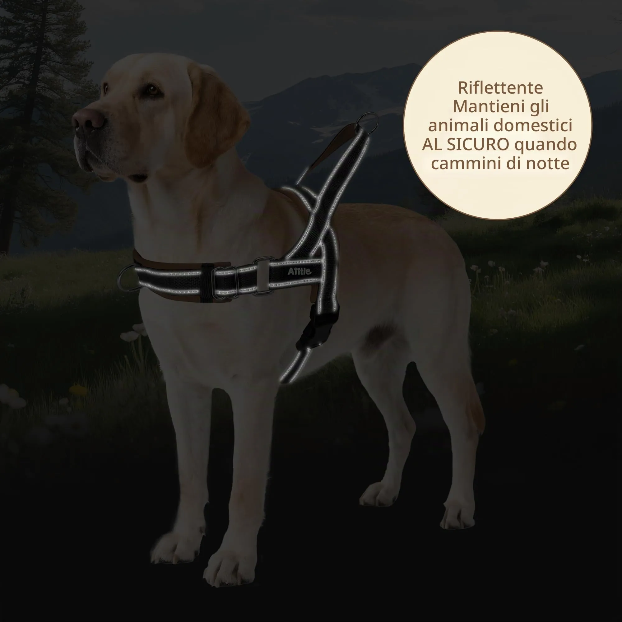 AIITLE Pettorina anti-tiro migliorata con impugnatura morbida imbottita, imbracatura per cuccioli con strisce riflettenti, per cani di piccola taglia Nero-Marrone XXS - immagine 5