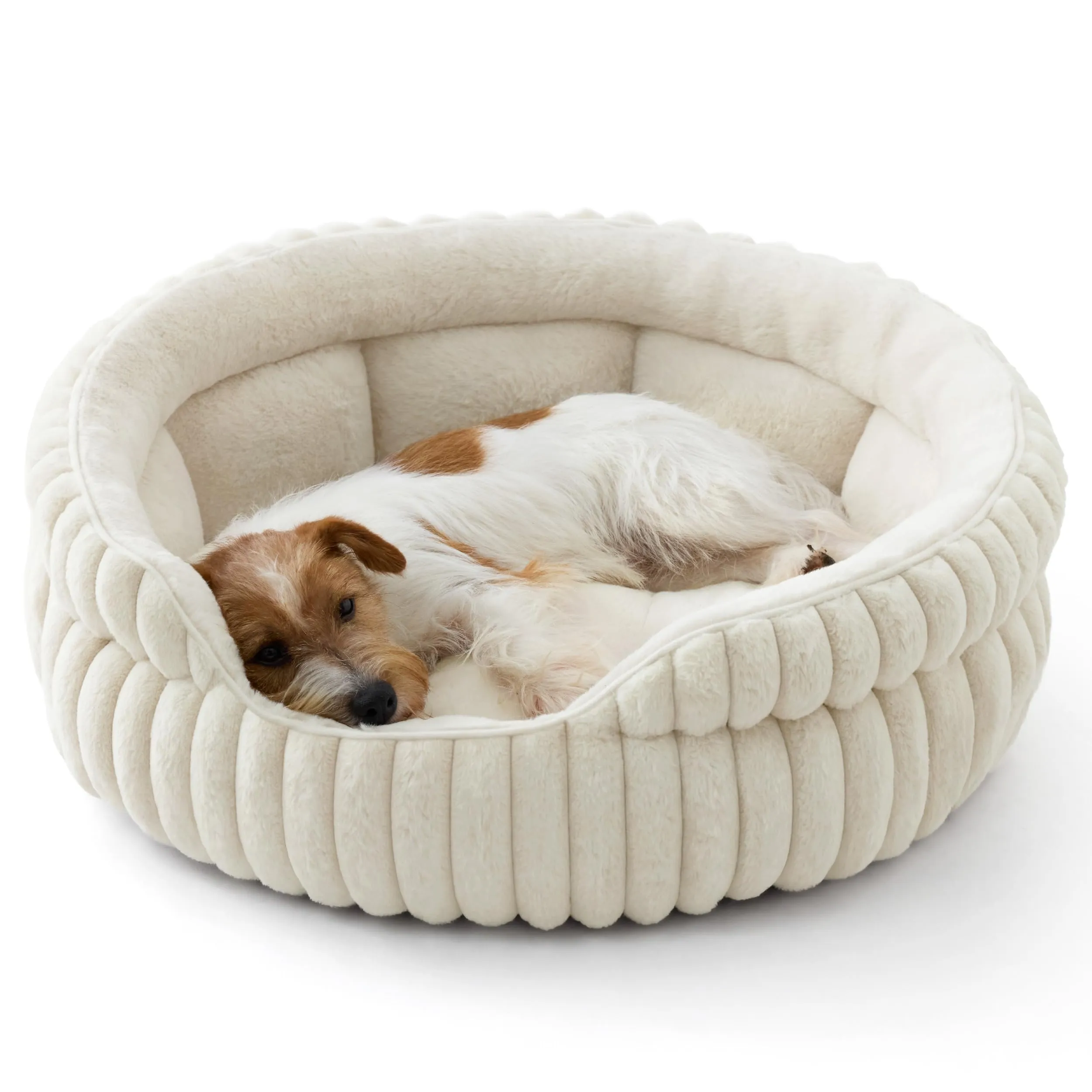 Bedsure Cuccia Cagnolino Cucciolo Lavabile Velluto a Coste Pile, 66x66cm - immagine 1