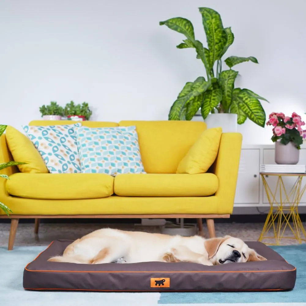 Ferplast Cuccia Ortopedica per Cani Extra Large Materassino per Cani Impermeabile e Antigraffio Cuccia Morbida Polo, 110 x 70 x h 8 CM, MARRONE - immagine 3