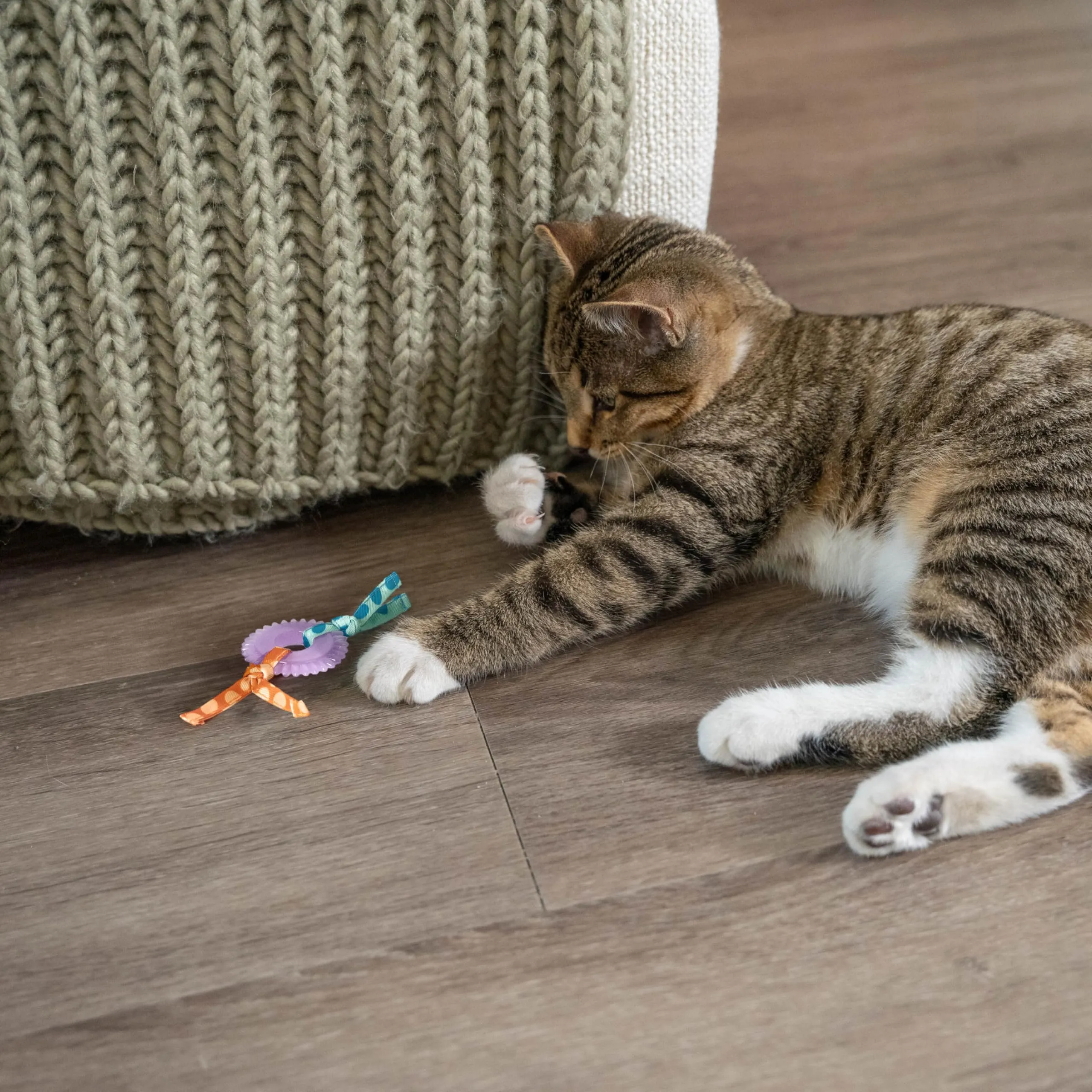 Petstages Kitty Chew Wheel - Gioco da masticare per gatti - ruota - per l'igiene dentale - con erba gatta - immagine 2