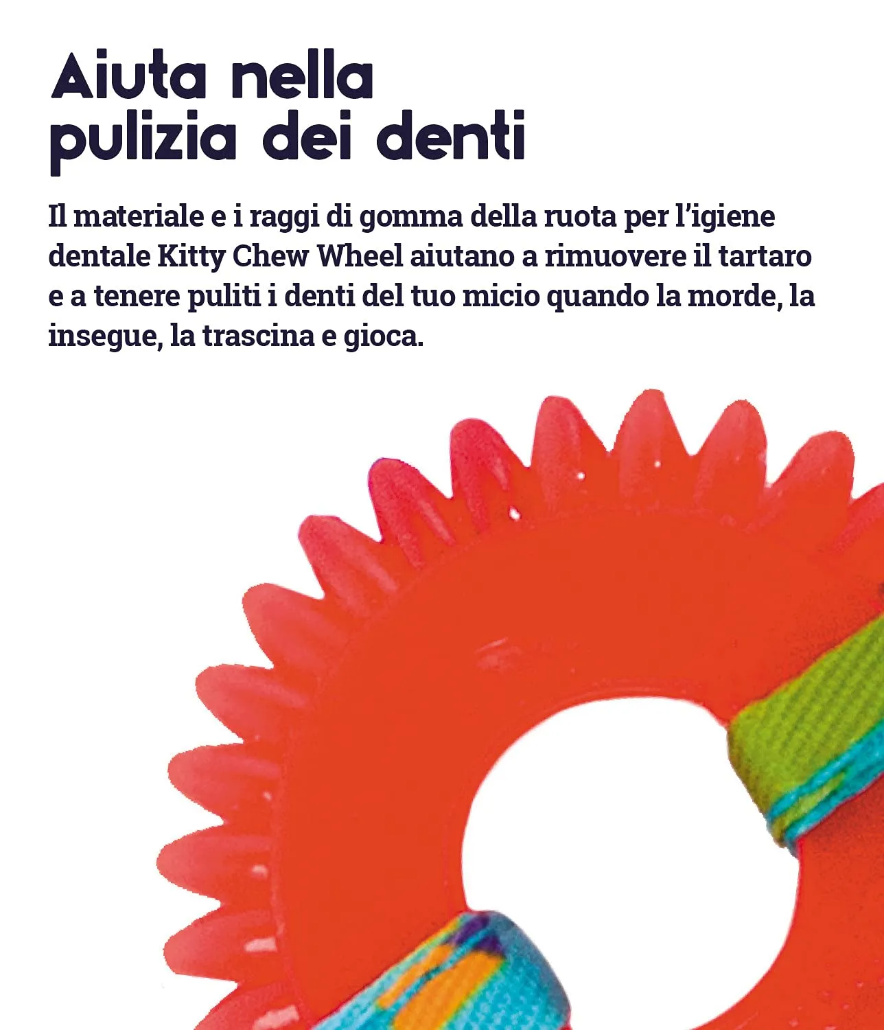 Petstages Kitty Chew Wheel - Gioco da masticare per gatti - ruota - per l'igiene dentale - con erba gatta - immagine 4