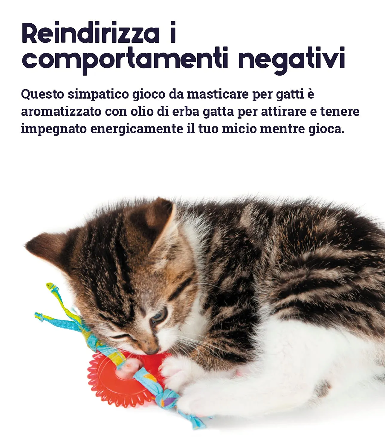Petstages Kitty Chew Wheel - Gioco da masticare per gatti - ruota - per l'igiene dentale - con erba gatta - immagine 5