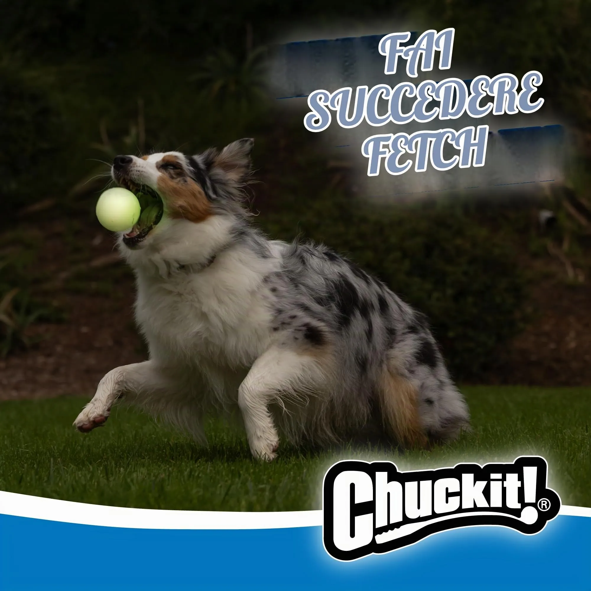 Chuckit Max Glow Ball - immagine 5