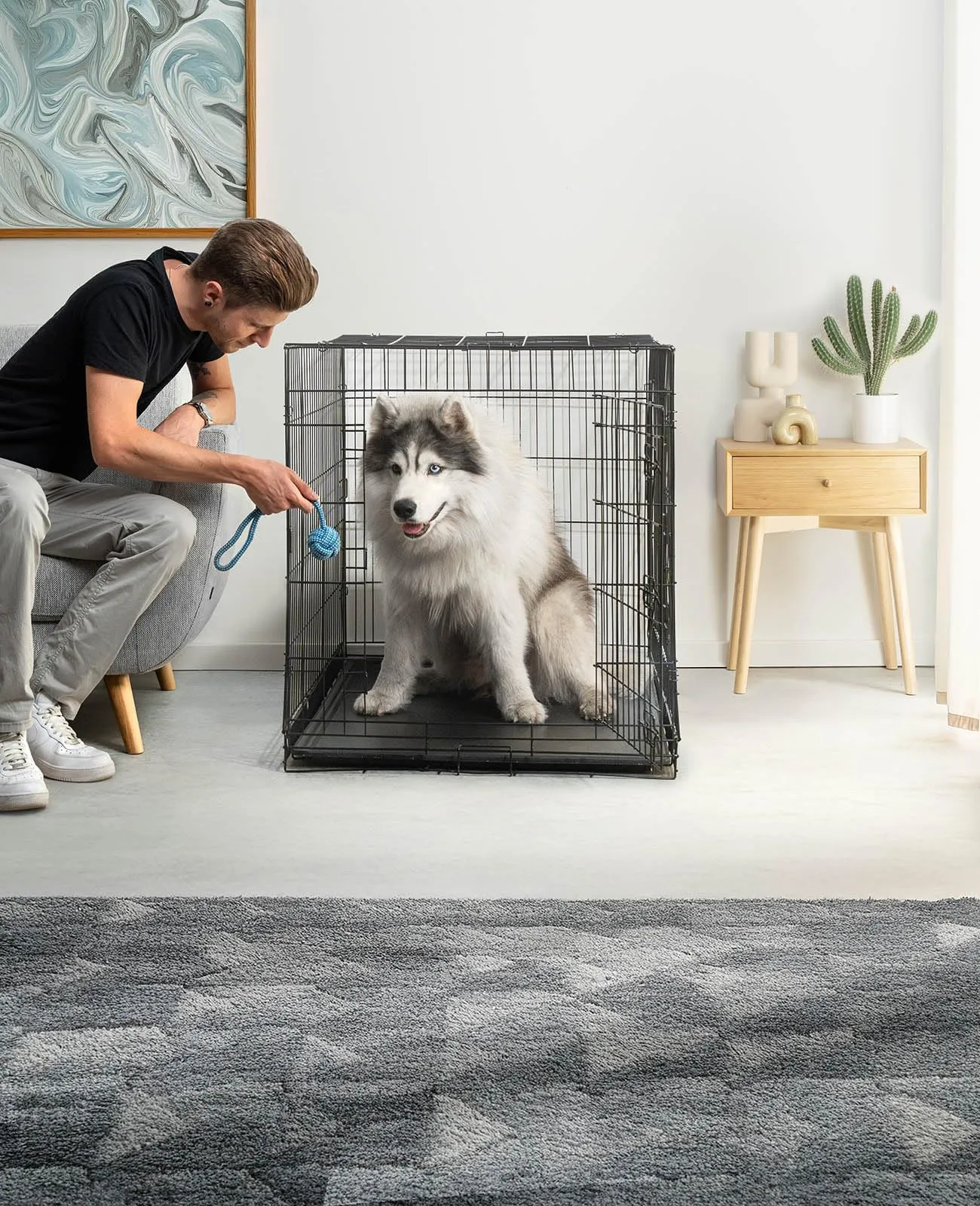lionto Gabbia per Cani e Gatti, Pieghevole, 106 x 71 x 77 cm, Nero - immagine 2