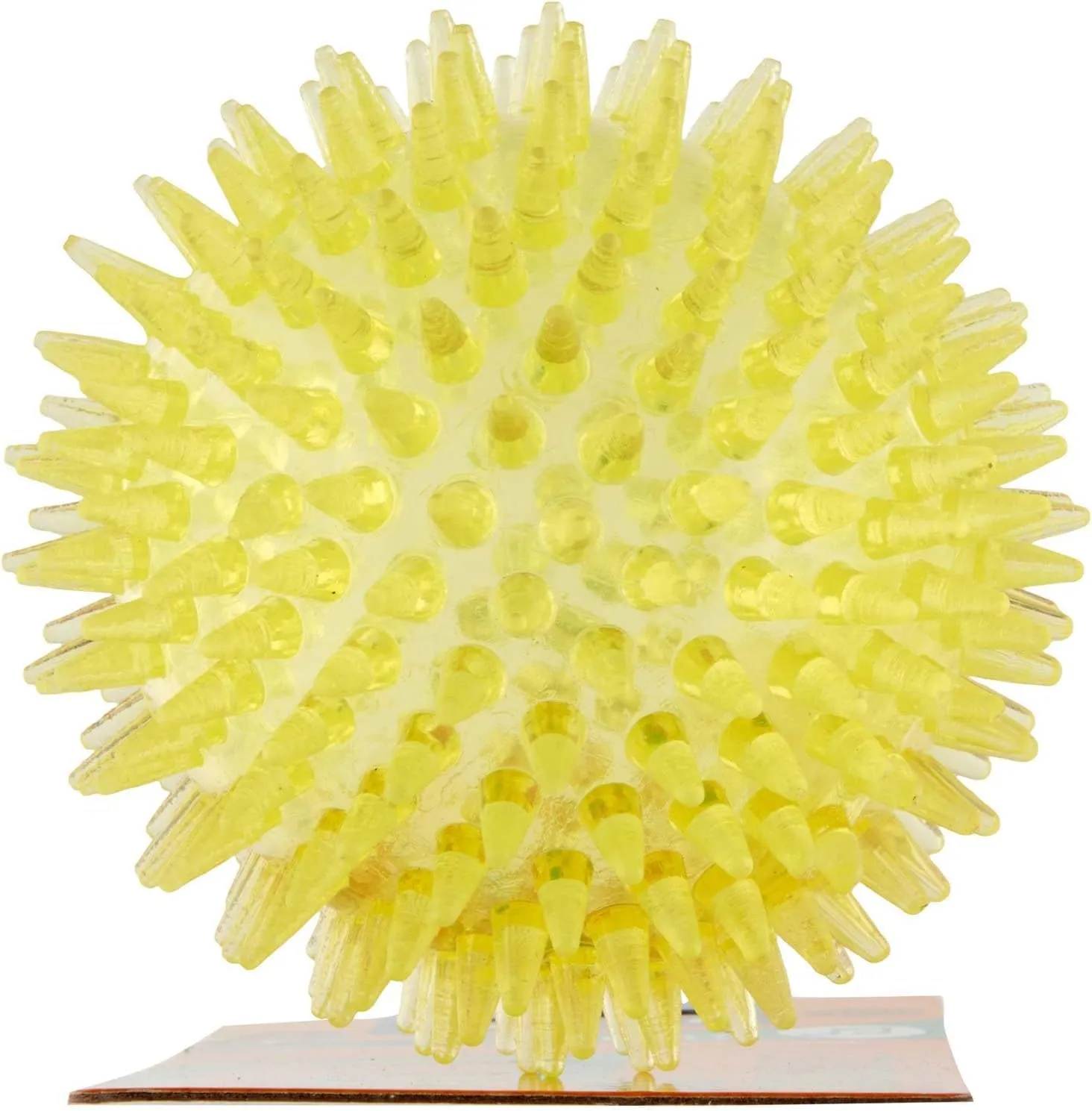 Vitakraft palla riccio, gioco per cane, gioco per cane robusto, con squeaker, in gomma termoplastica, favorisce la circolazione del sangue nelle gengive (1 pz) - immagine 2