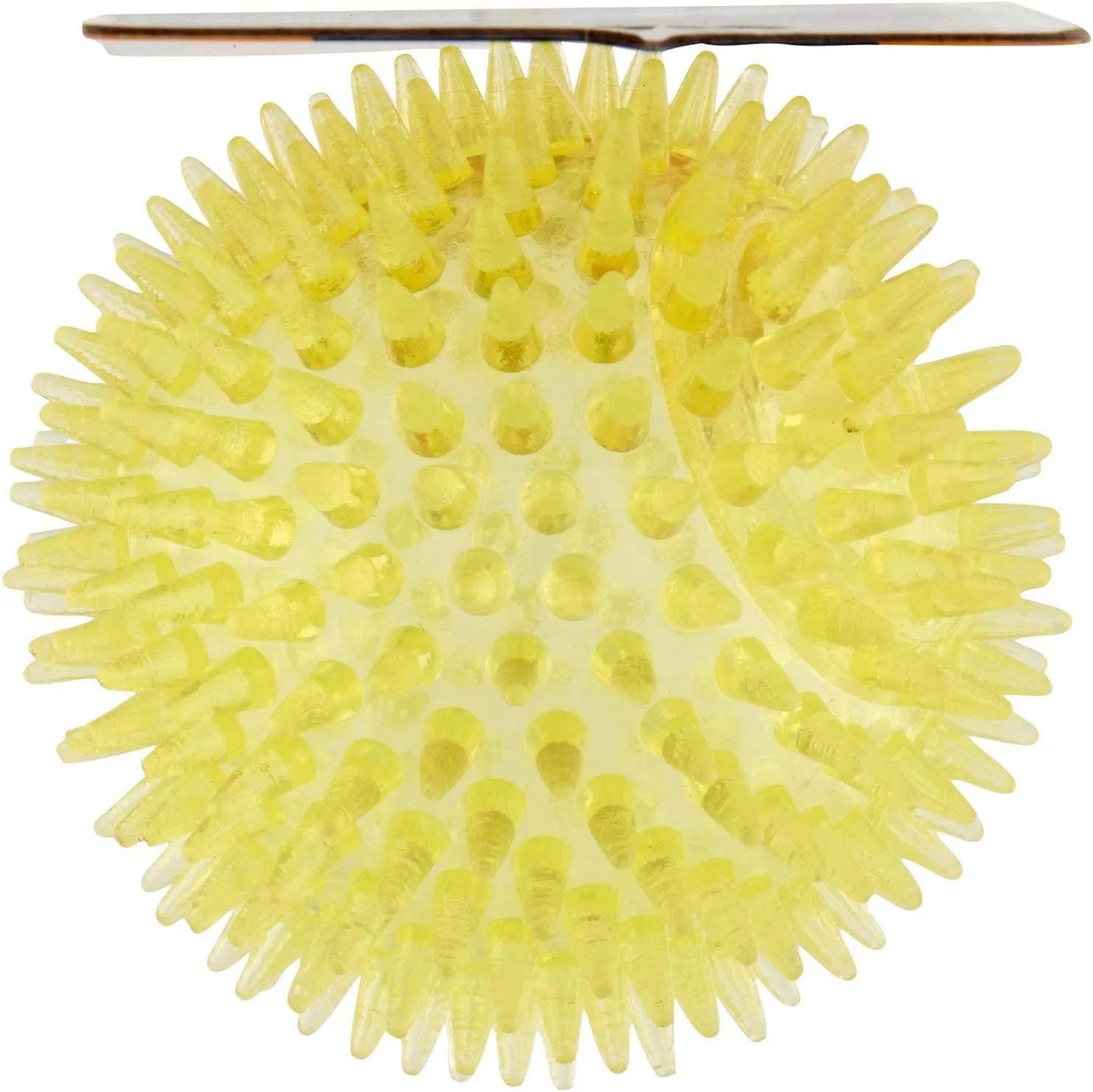 Vitakraft palla riccio, gioco per cane, gioco per cane robusto, con squeaker, in gomma termoplastica, favorisce la circolazione del sangue nelle gengive (1 pz) - immagine 3