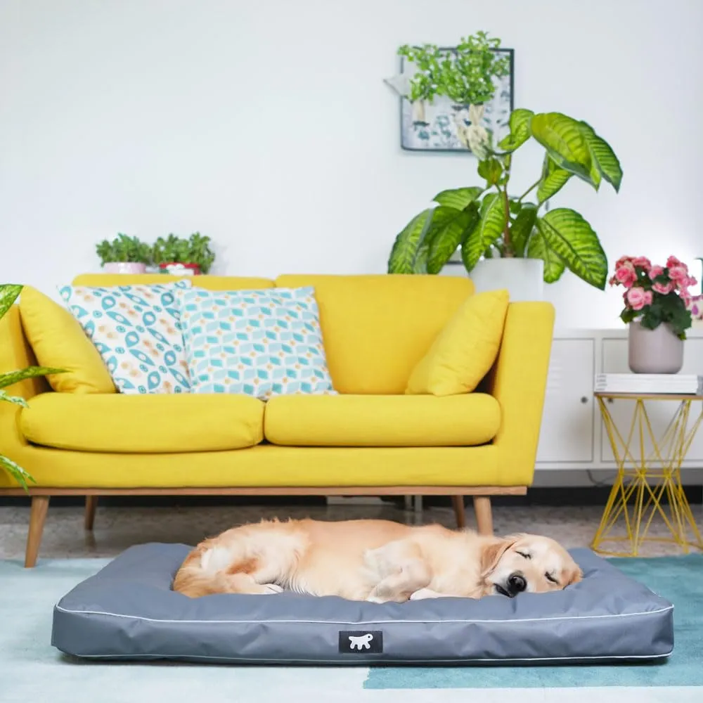 Ferplast Cuccia Ortopedica per Cani Extra Large Materassino per Cani Impermeabile e Antigraffio Cuccia Morbida Polo, 110 x 70 x h 8 CM, GRIGIA - immagine 2