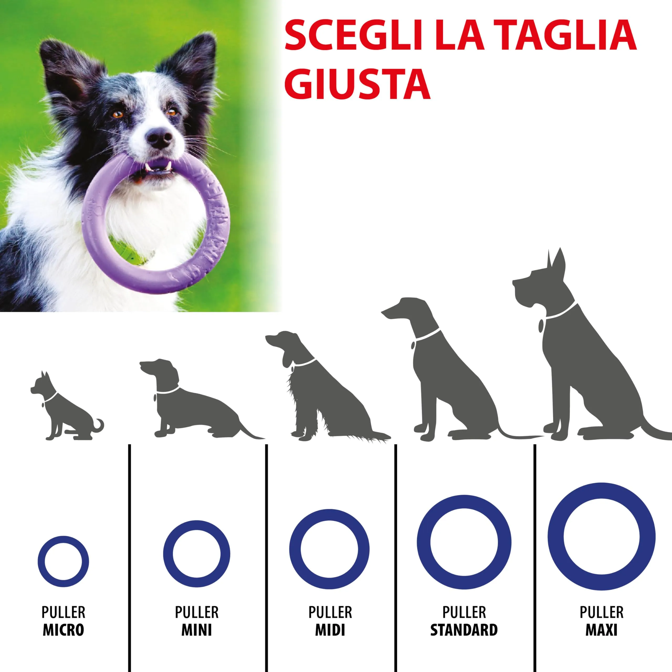 Ferplast Gioco Cane, Anello Addestramento Cani da Masticare, per Corsa, Salto, Tiro, Materiale Robusto Atossico, Galleggiante, PULLER MAXI, Giochi per Cane Grande, 1 Anello Fitness - immagine 4