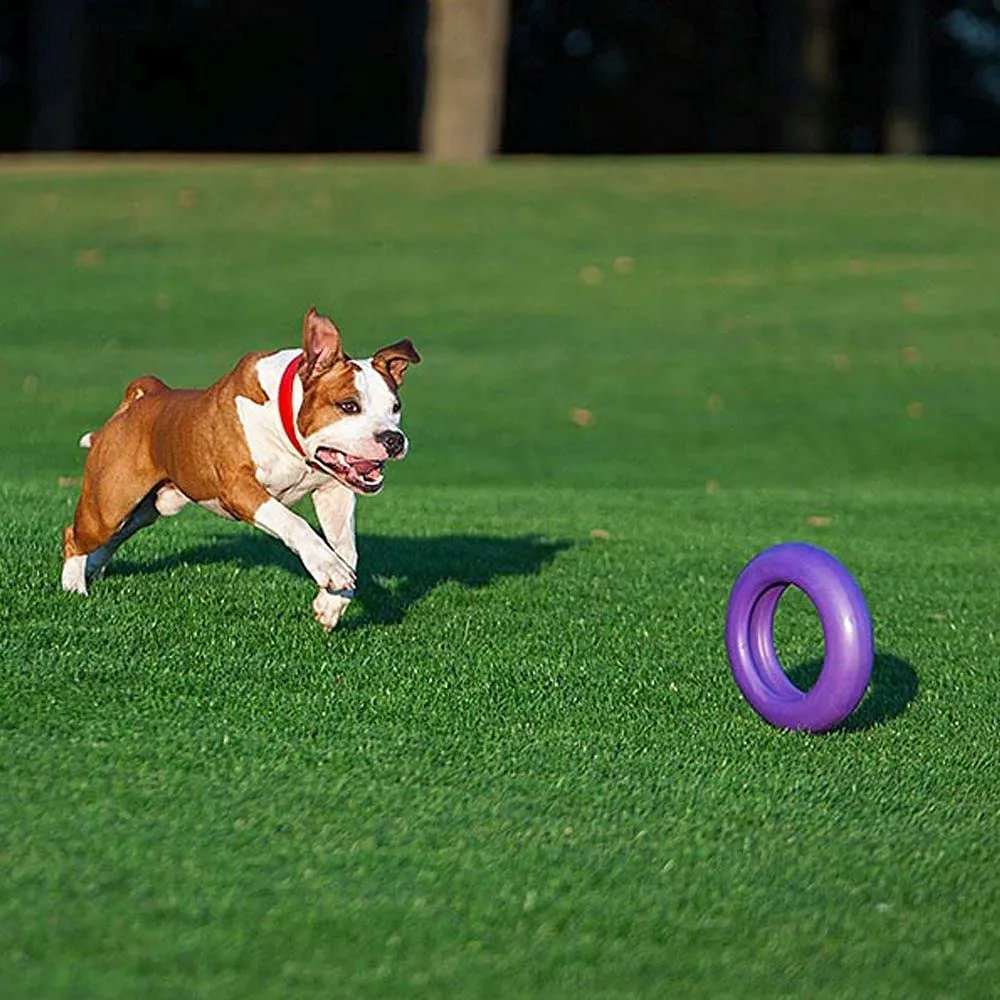Ferplast Gioco Cane, Anello Addestramento Cani da Masticare, per Corsa, Salto, Tiro, Materiale Robusto Atossico, Galleggiante, PULLER MAXI, Giochi per Cane Grande, 1 Anello Fitness - immagine 6