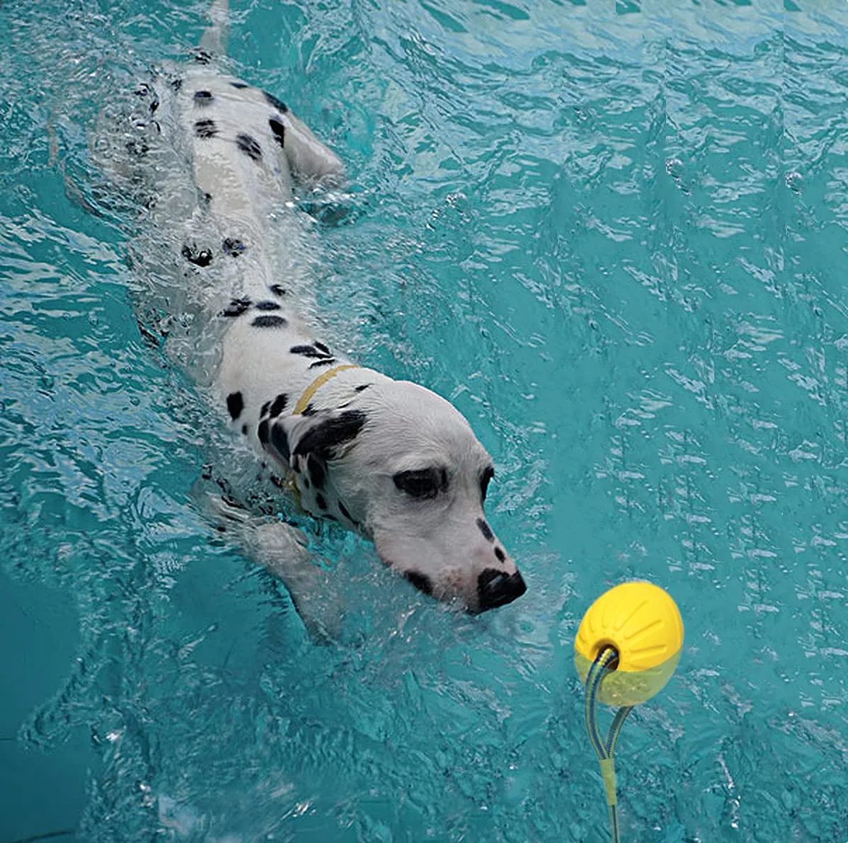 Palla per cani con corda, palla da addestramento per cani in schiuma, palla galleggiante per cani, piccolo giocattolo per rimorchiatore per cani di grandi dimensioni (grande palla) - immagine 3