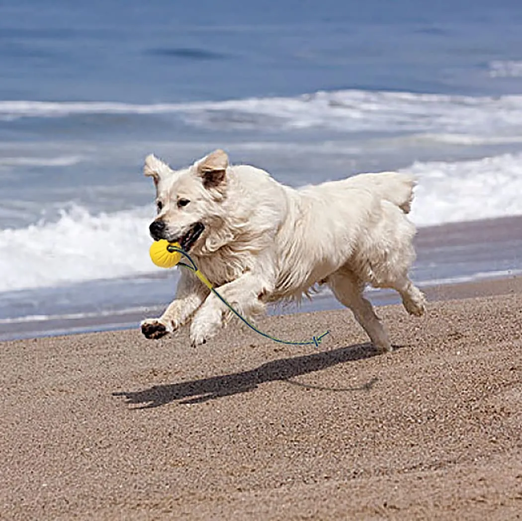 Palla per cani con corda, palla da addestramento per cani in schiuma, palla galleggiante per cani, piccolo giocattolo per rimorchiatore per cani di grandi dimensioni (grande palla) - immagine 5