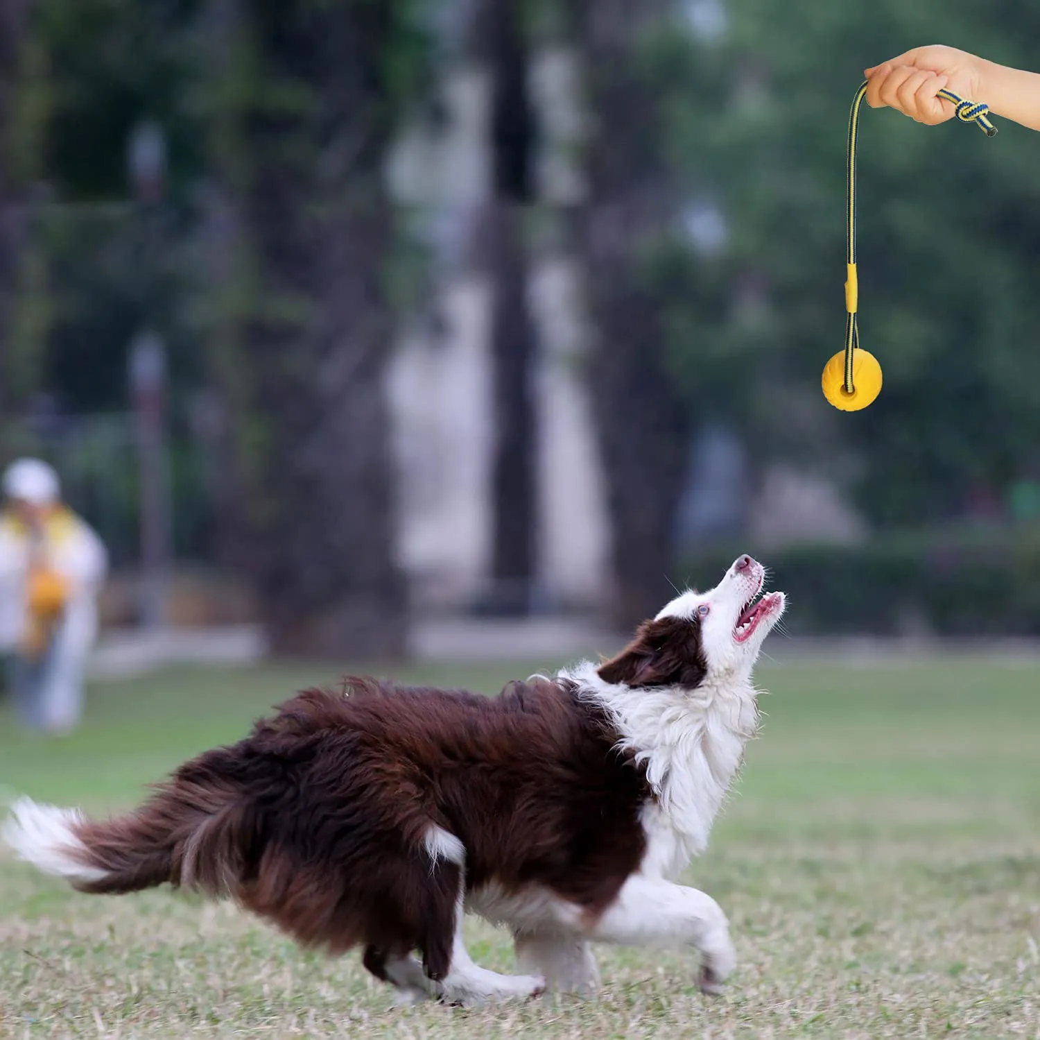 Palla per cani con corda, palla da addestramento per cani in schiuma, palla galleggiante per cani, piccolo giocattolo per rimorchiatore per cani di grandi dimensioni (grande palla) - immagine 6