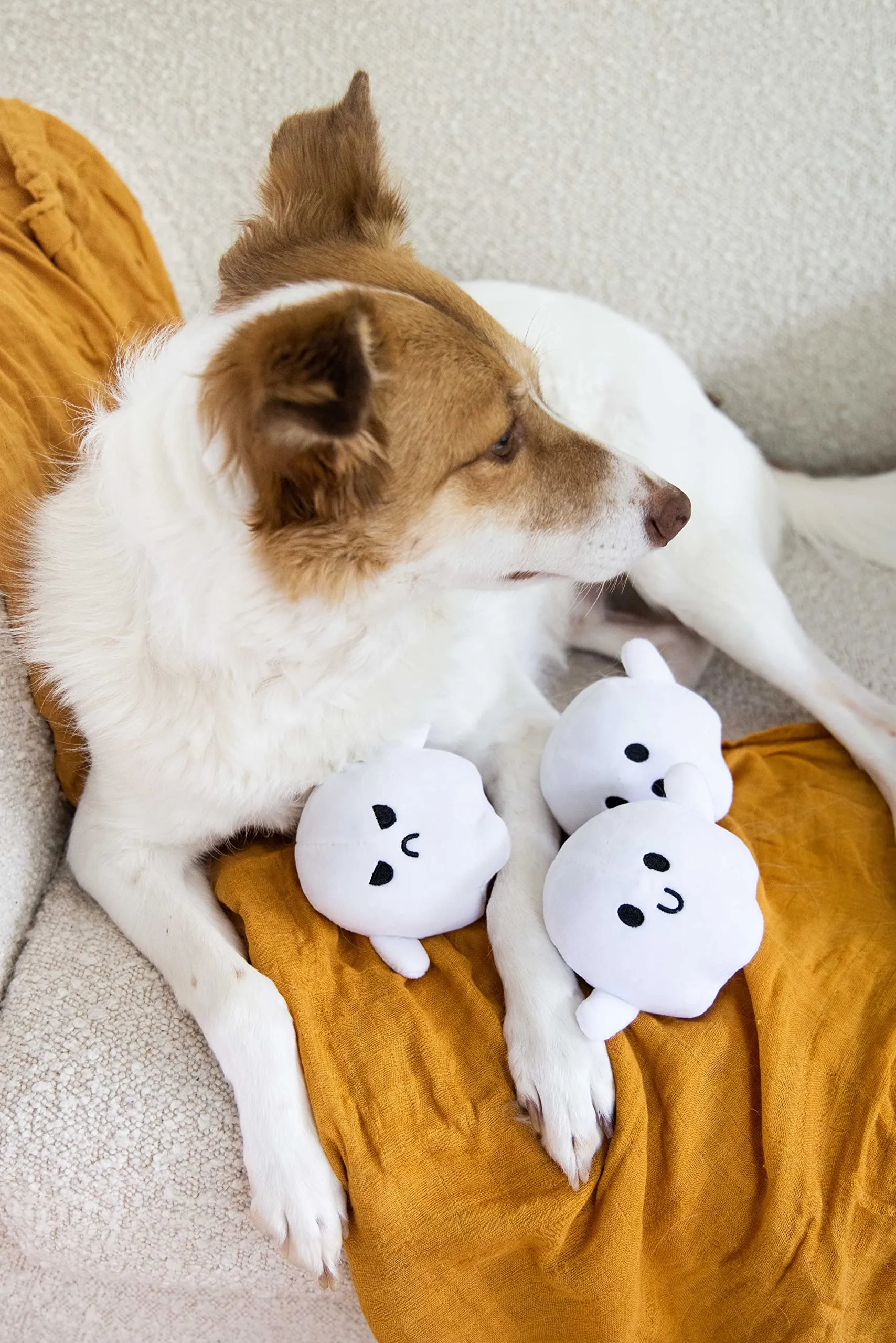 Pearhead Giocattoli di Halloween per Cani, Fantasma Bianco, Set di 3 Giocattoli di Halloween per Animali Domestici, Accessori indispensabili per il proprietario del Cane, Giocattoli Autunno per - immagine 5