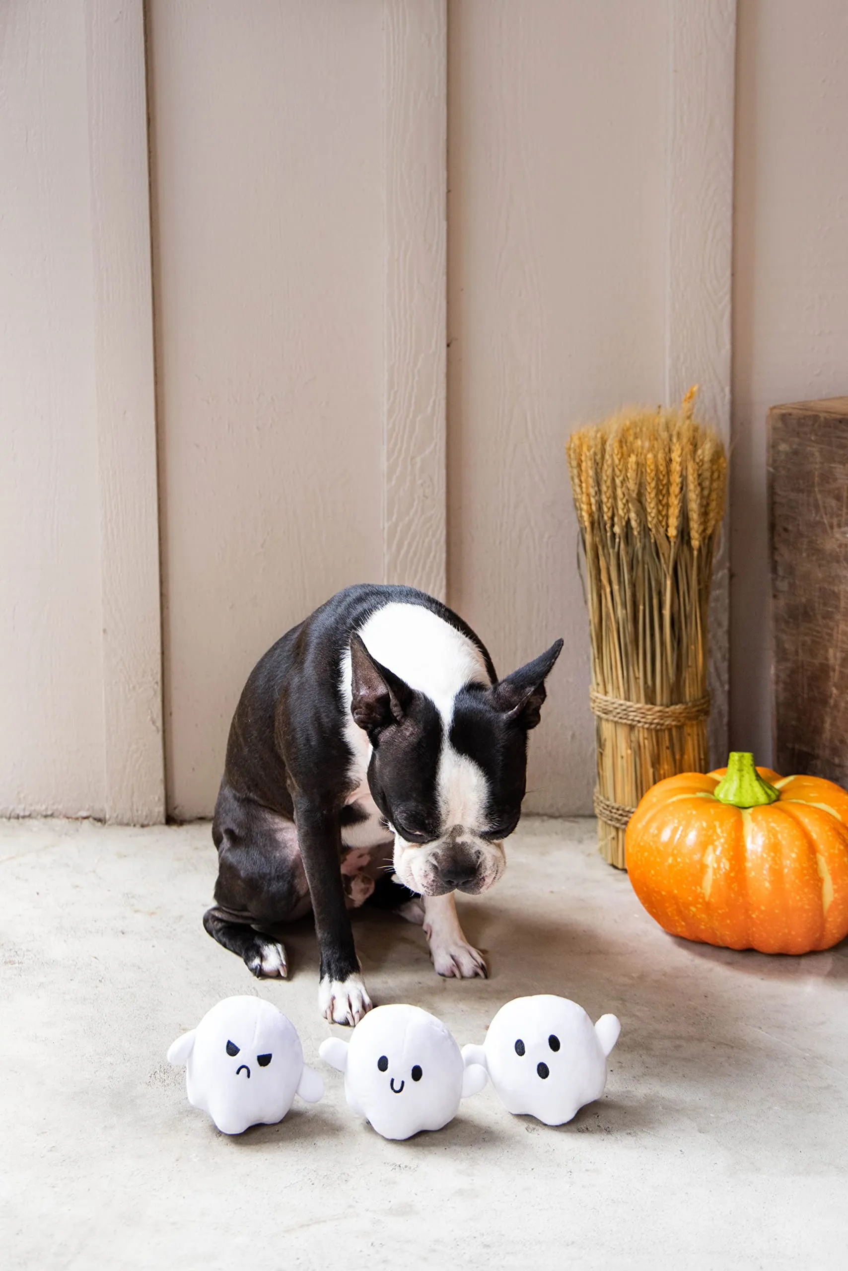 Pearhead Giocattoli di Halloween per Cani, Fantasma Bianco, Set di 3 Giocattoli di Halloween per Animali Domestici, Accessori indispensabili per il proprietario del Cane, Giocattoli Autunno per - immagine 6