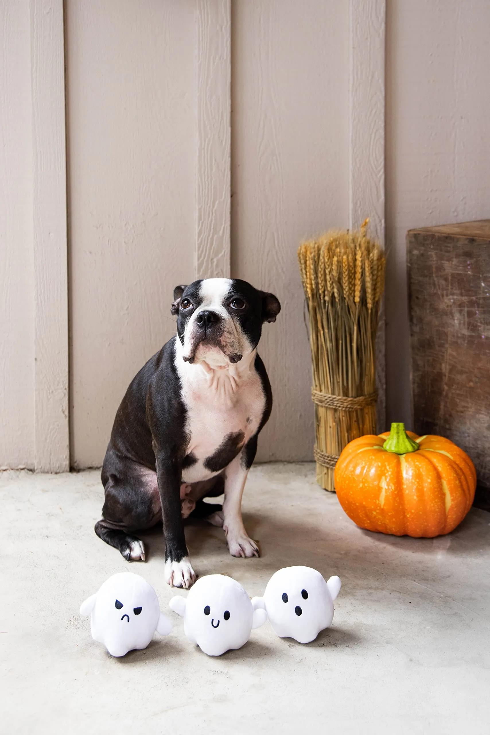 Pearhead Giocattoli di Halloween per Cani, Fantasma Bianco, Set di 3 Giocattoli di Halloween per Animali Domestici, Accessori indispensabili per il proprietario del Cane, Giocattoli Autunno per - immagine 7