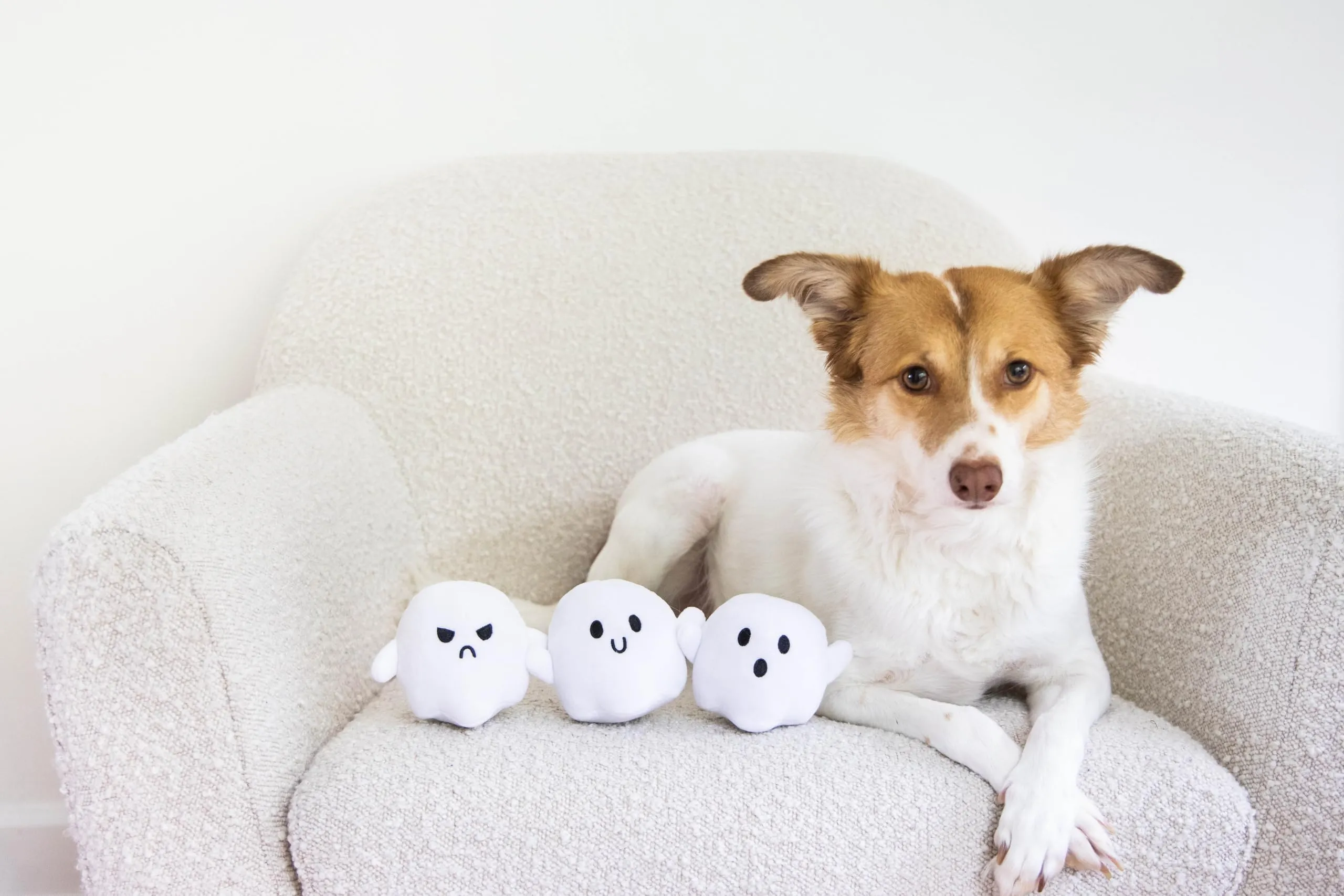 Pearhead Giocattoli di Halloween per Cani, Fantasma Bianco, Set di 3 Giocattoli di Halloween per Animali Domestici, Accessori indispensabili per il proprietario del Cane, Giocattoli Autunno per - immagine 8