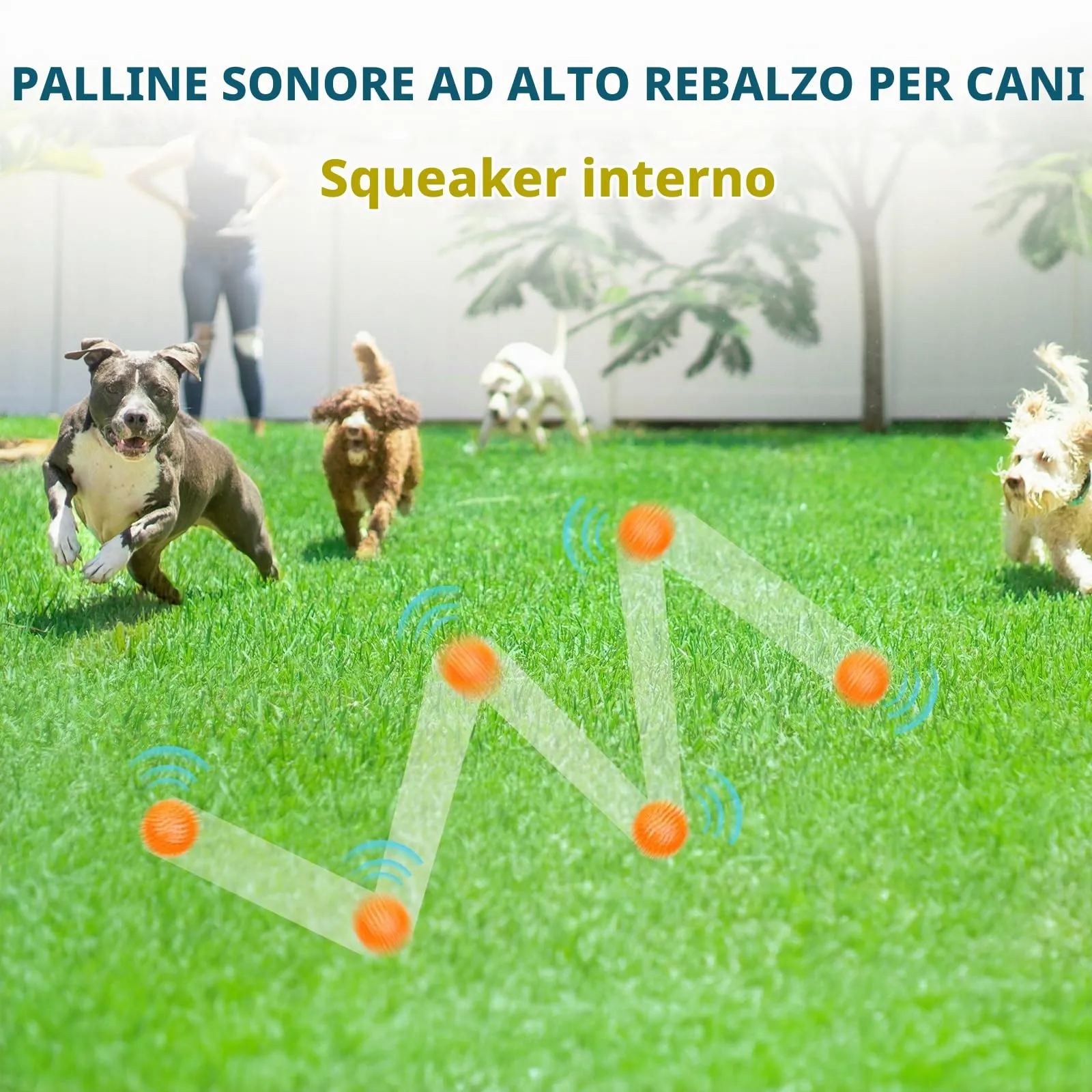 SHARLOVY Palline Squeaky da 7,6 cm per Cani Piccoli, 4 Colori Palline Spiky per Dentizione di Cuccioli, Durevoli Giocattoli da Masticare per Cuccioli per la Dentizione - immagine 3