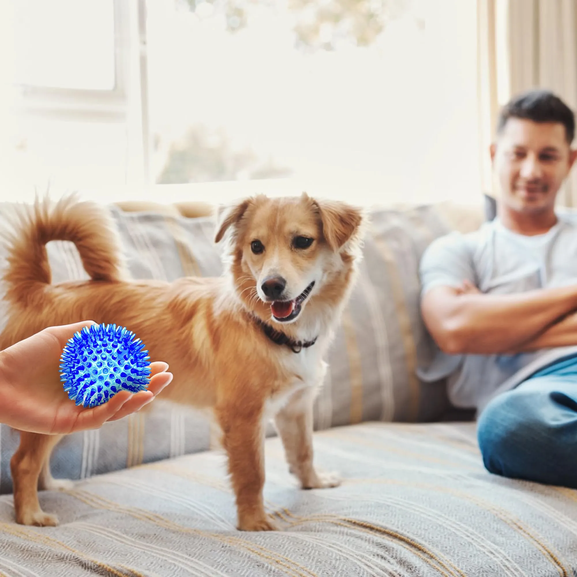 SHARLOVY Palline Squeaky da 7,6 cm per Cani Piccoli, 4 Colori Palline Spiky per Dentizione di Cuccioli, Durevoli Giocattoli da Masticare per Cuccioli per la Dentizione - immagine 7