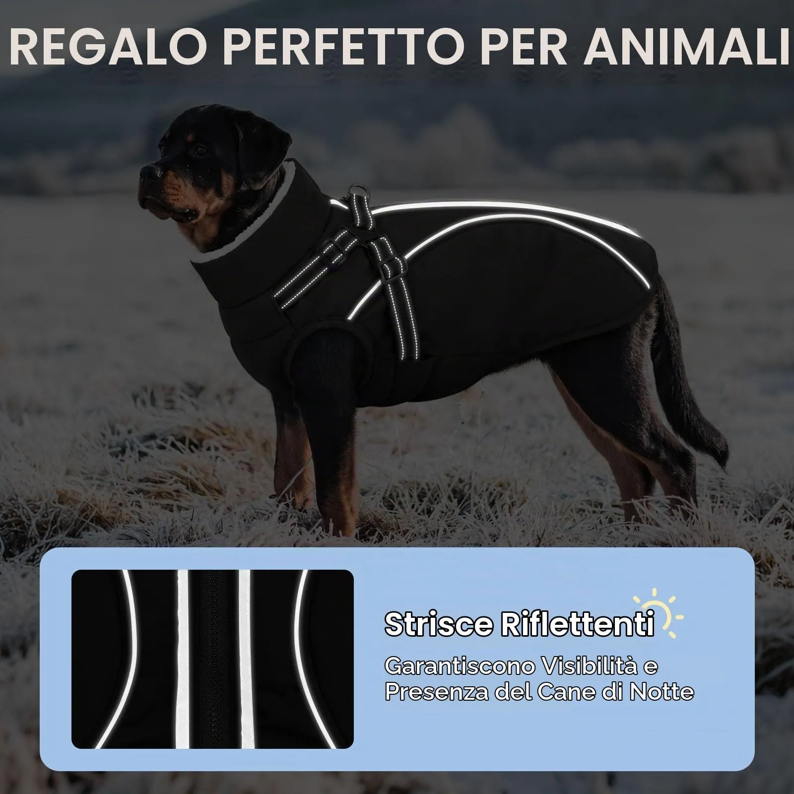 CITÉTOILE Cappotto Invernale per Cani Impermeabile Giacca Calda Nero L - immagine 3