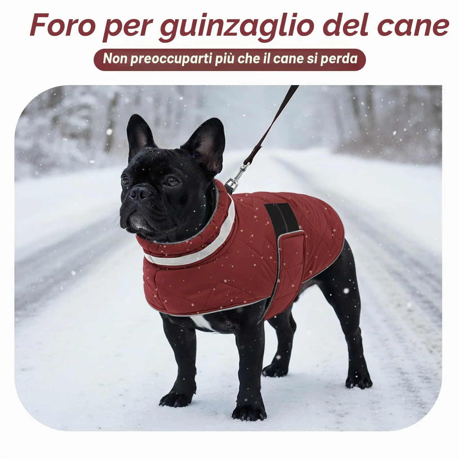 ASENKU Cappotto Invernale Impermeabile S per Cane Piccola, Giacca Calda con Strisce Riflettenti, Regolabile, Apertura per Collare,Ideale per Pomerania, Barboncino, Maltese per Usi Esterni - immagine 6